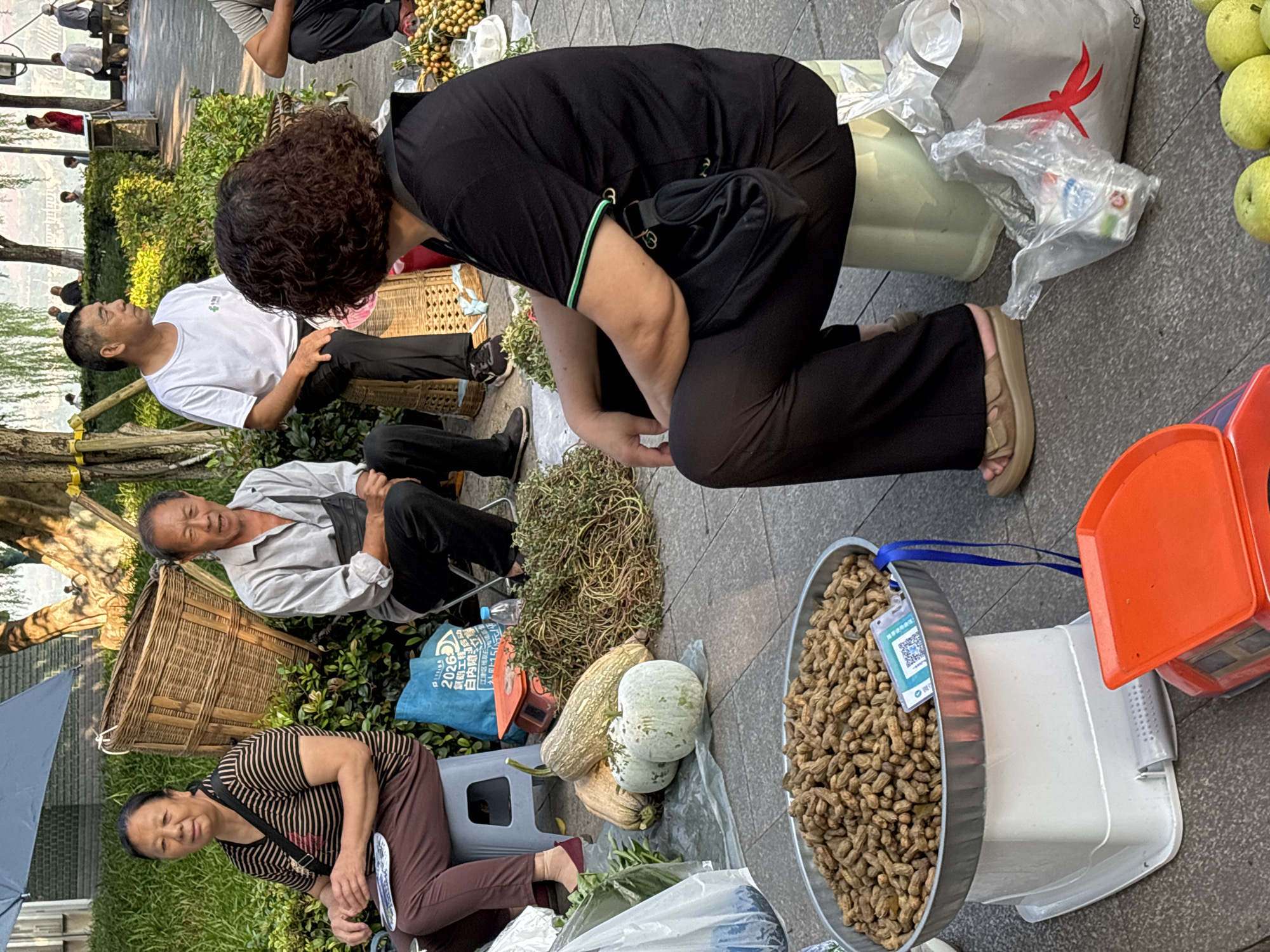 A street scene in Jiangjin, China, shows four individuals, three women and one man, seated in front of various goods for sale. In the foreground, a large, round metal tray filled with peanuts sits atop a white weighing scale. Next to it, a red-topped manual scale is visible. Several gourds, including two light green ones and a long, pale yellow one, lie on a clear plastic sheet. A bunch of dried green herbs is also present.
To the left, a woman with dark hair and a striped shirt sits on a gray stool, holding a fan. Beside her is a blue plastic bag. To her right, a man in a light gray shirt and dark pants is seated on a chair, with a black bag slung across his chest. Further to the right, a man in a white t-shirt and black pants sits on a woven basket. A woman with curly dark hair and a black shirt sits on a pale green stool, facing away from the camera, with a black bag over her shoulder. To her right, a white shopping bag with a red bird logo and other items are visible. In the background, more people are seen seated in a park-like setting with trees and bushes. The ground appears to be paved.