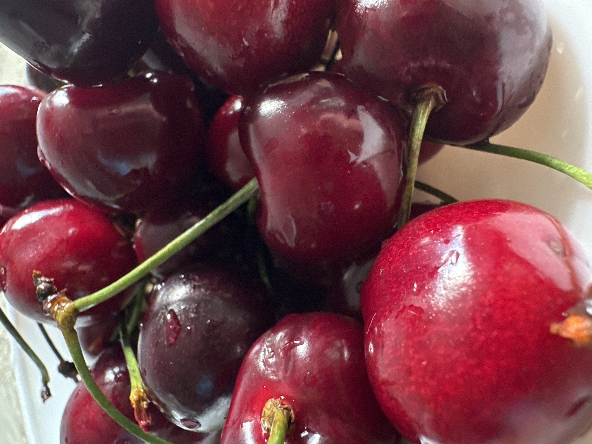 The image displays a close-up, overhead view of a pile of ripe cherries. The cherries are predominantly a deep red and dark red color, with some appearing almost black. They are wet, with visible water droplets on their surfaces, suggesting they have been recently washed or are dewy. Some cherries have visible stems, which are green and thin. The lighting highlights the glossy sheen of the fruit, creating reflections and emphasizing their plumpness. The background is a light, neutral color, possibly a plate or bowl, which is out of focus. The composition is tight, with the cherries filling the frame. There are no people or discernible environmental features of a city present.