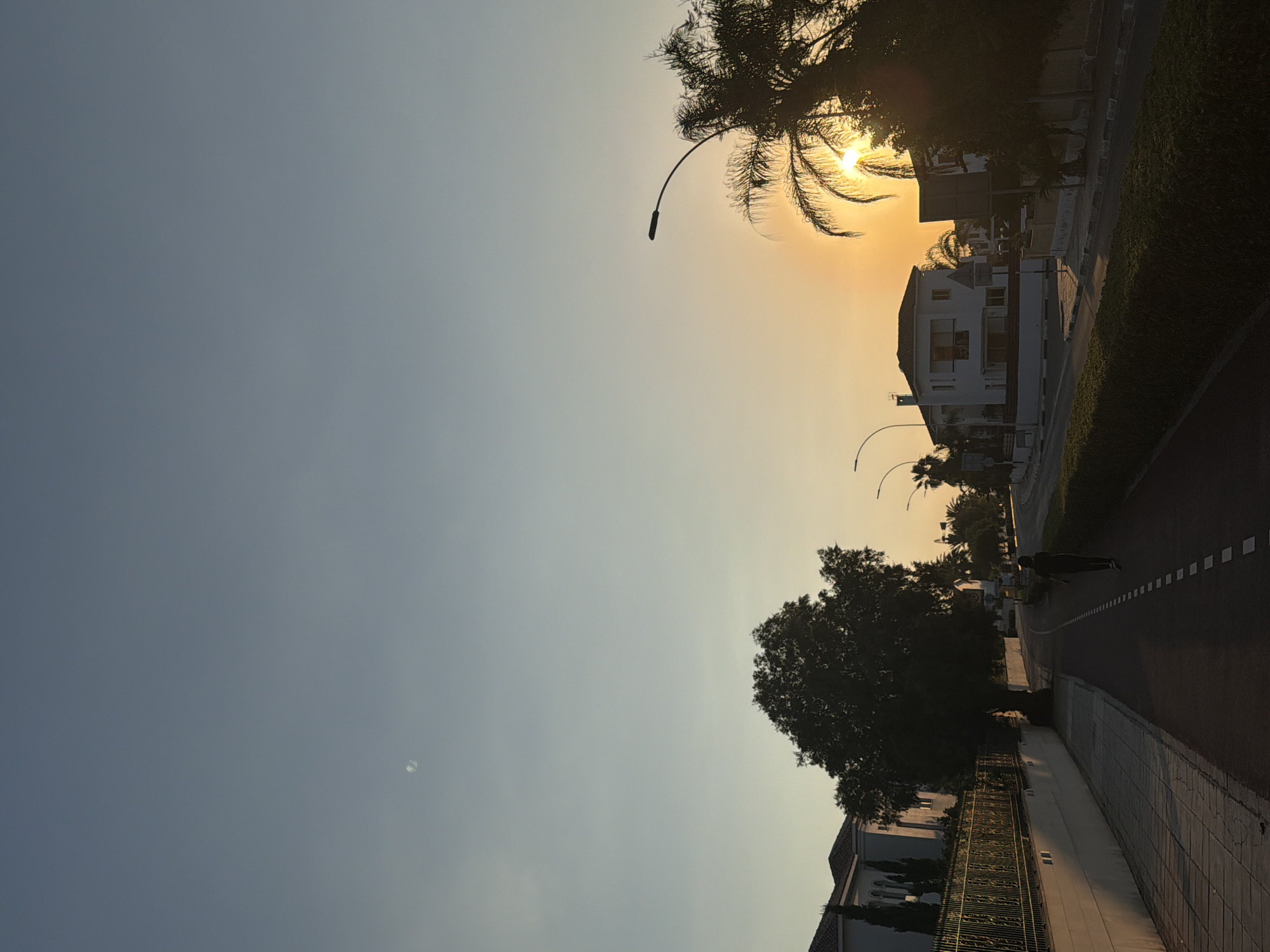 The image depicts a street scene in Pervolia, Cyprus, at either sunrise or sunset. The sky is a gradient of pale blue and yellow, indicating the low position of the sun. In the foreground, a person is walking on a red path, possibly a dedicated jogging or cycling lane, which runs alongside a sidewalk. A large, dark tree stands to the left of the path, casting a shadow. Behind the tree, a white building with a tiled roof and a decorative metal fence is visible. Further down the street, several modern white houses with balconies are situated. Palm trees are scattered throughout the scene, and a street lamp is visible on the right. The sun is partially obscured by a palm tree, creating a lens flare effect. The overall impression is one of a quiet, residential area during the golden hour.