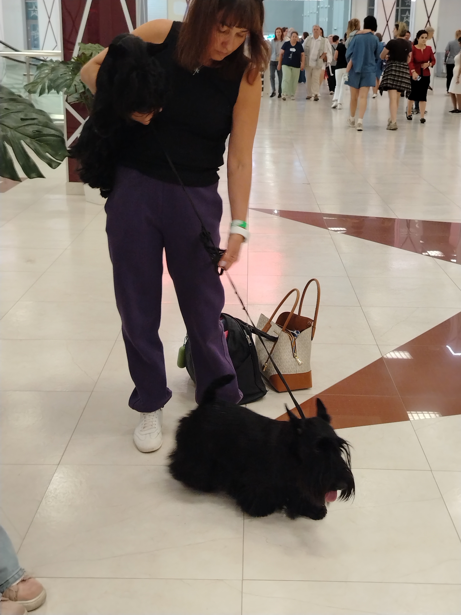 An unidentified woman, wearing a black tank top and purple sweatpants, stands on a tiled floor in what appears to be a public indoor space. She is holding a small black dog in her arms, while another small black dog, possibly a Scottish Terrier, is on a leash at her feet. A patterned handbag and a black duffel bag are on the floor next to her. In the background, other individuals are walking and standing. The woman has brown hair and is looking down towards the dog she is holding. The lighting suggests an indoor environment, possibly a shopping mall or a large public building.