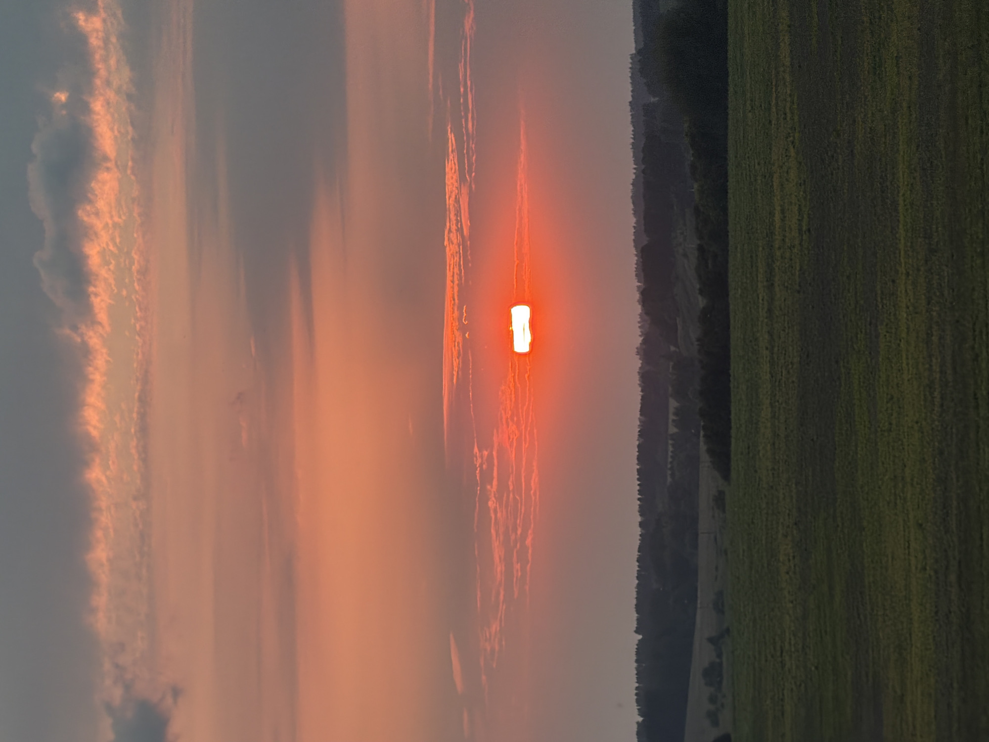 The image depicts a rural landscape at dusk. The sky is filled with hues of orange and gray, with wispy clouds catching the fading sunlight. The sun, a bright orange disc, is low on the horizon, partially obscured by a horizontal band of clouds. Below the sky, a dark line of trees forms a distant treeline, separating the sky from the foreground. The immediate foreground consists of a vast, gently sloping field of green grass, appearing somewhat dark and muted due to the low light conditions. The scene is tranquil and suggestive of an evening in the countryside. There are no people, animals, or man-made structures immediately visible, contributing to the natural and undisturbed ambiance. The location is identified as Lubyantsy, Russia.