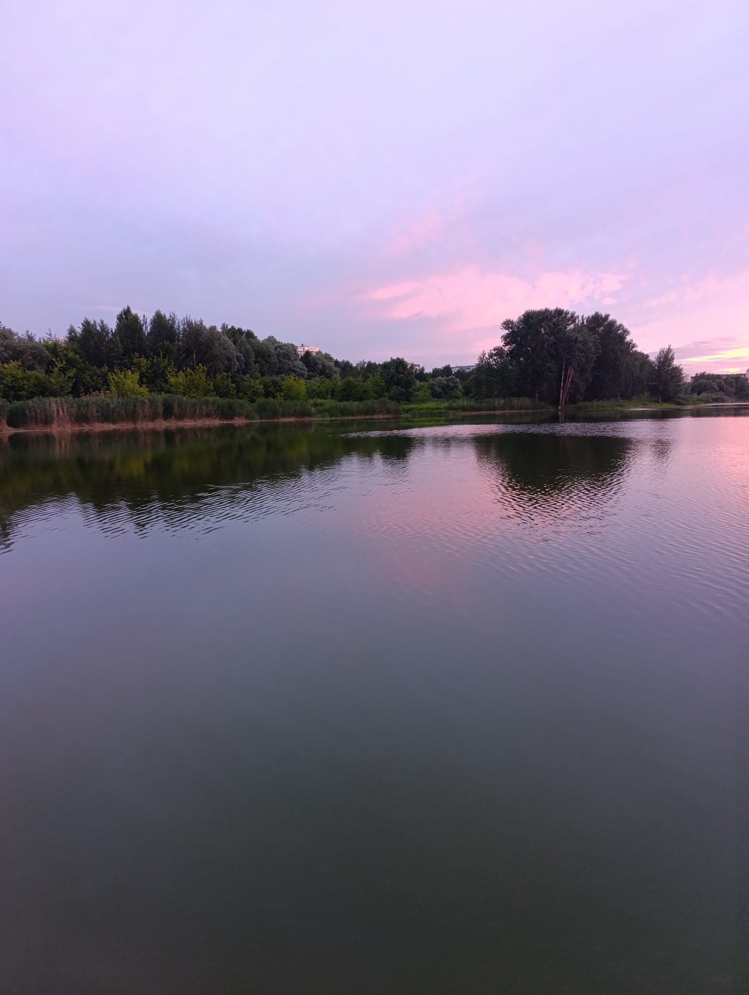 A tranquil twilight scene unfolds over a body of water, likely a lake or pond, in Penza, Russia. The sky is painted with soft hues of lavender and pink, transitioning to a pale blue, with wispy clouds adding texture. The water's surface mirrors the sky and the verdant treeline that borders the far bank, creating a symmetrical reflection that is slightly disturbed by gentle ripples.
Dominating the background is a dense line of trees, varying in height and shade of green, interspersed with tall reeds along the water's edge. To the right, a cluster of mature trees stands out, their dark silhouettes contrasting with the lighter sky. A few subtle hints of buildings can be discerned amongst the foliage on the distant horizon, suggesting proximity to urban development. The overall atmosphere is one of quietude and natural beauty, characteristic of a peaceful evening in Penza. There are no people or animals visible in the image.