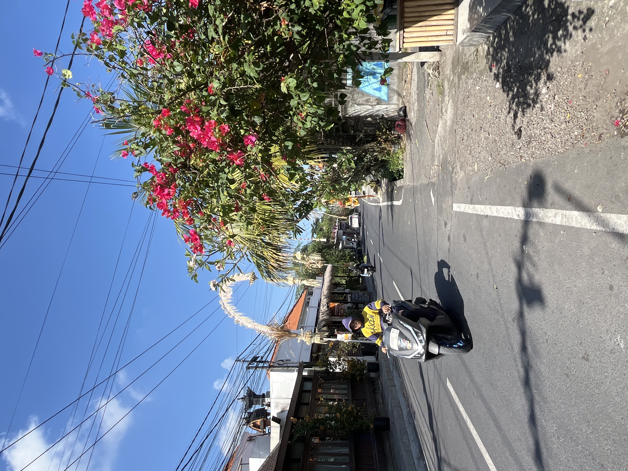 In Mengwi, Indonesia, a person rides a modern gray scooter on an asphalt road under a bright blue sky with scattered white clouds. The rider, wearing a yellow hooded jacket with purple accents and the word "SKICEN" printed on it, is positioned in the left lane. The scooter has a license plate with the characters "3268 KG". The road is lined with buildings, some with traditional Balinese architecture featuring ornate dark wood carvings and white walls, and others with more modern designs. Lush green vegetation, including a large tree with vibrant pink bougainvillea flowers, grows along the right side of the road. Overhead, a dense network of black electrical wires stretches across the sky. Decorative straw arches are visible spanning the road in the background. The environment appears to be a bustling street with shops and businesses lining the thoroughfare, suggesting a commercial or residential area. Sunlight casts distinct shadows on the road, indicating a sunny day.