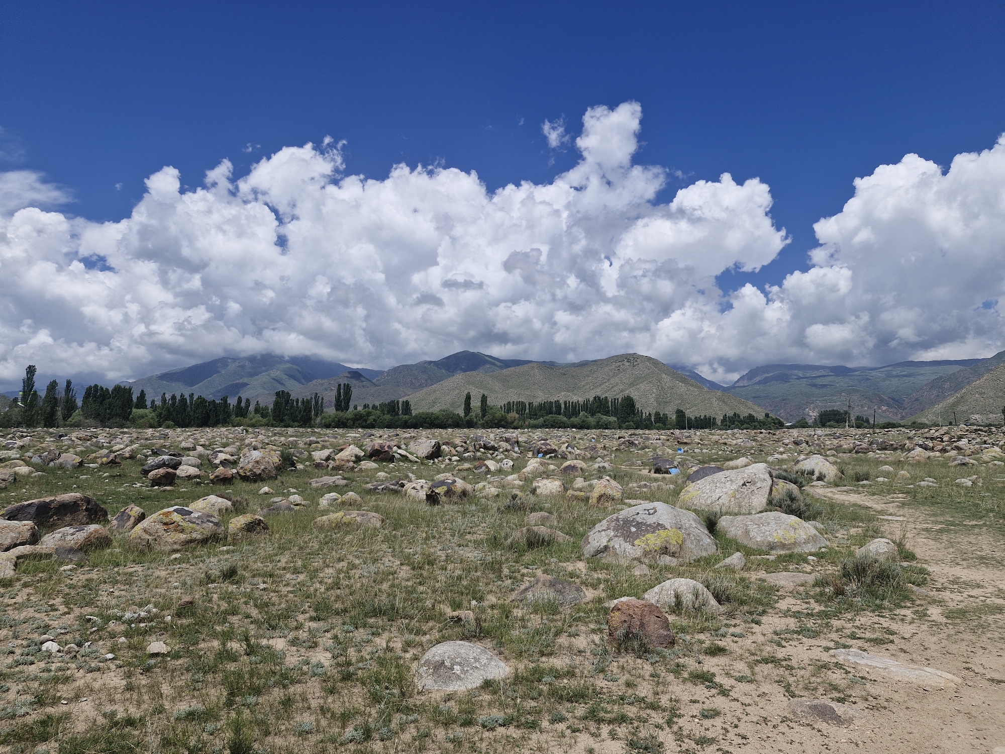 This image captures a rocky, grassy landscape under a bright blue sky with fluffy white clouds. The foreground is filled with numerous large and small boulders scattered across the sparse vegetation and dirt. In the middle ground, a line of tall, dark green trees forms a dense border, behind which lie rolling, green hills and mountains. The overall scene appears to be a natural outdoor environment, likely a natural park or undeveloped area. The location is identified as Cholpon-Ata, Kyrgyzstan.