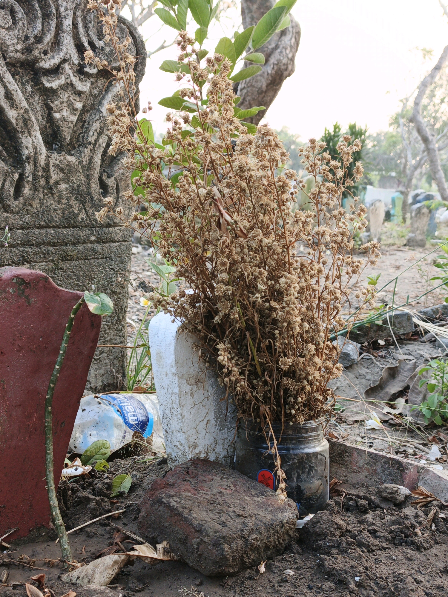 This image depicts a natural outdoor environment. In the foreground, a weathered, red-colored planter is visible on the left. Beside it, a slender green plant emerges from the soil. Adjacent to this, a plastic water bottle with a blue label lies on the ground. A cluster of dried, brown plant stems with small seed pods is arranged in a dark glass jar, positioned behind a white, weathered concrete-like structure. The ground is covered with dark soil, scattered leaves, and some rocks. In the background, a large, intricately carved stone structure stands to the left. Further in the distance, trees and several gravestone-like structures are visible, suggesting a cemetery or burial ground setting. The lighting indicates it is daytime, with a bright sky. The scene appears to be located in or around Ketegan, Indonesia, given the context.