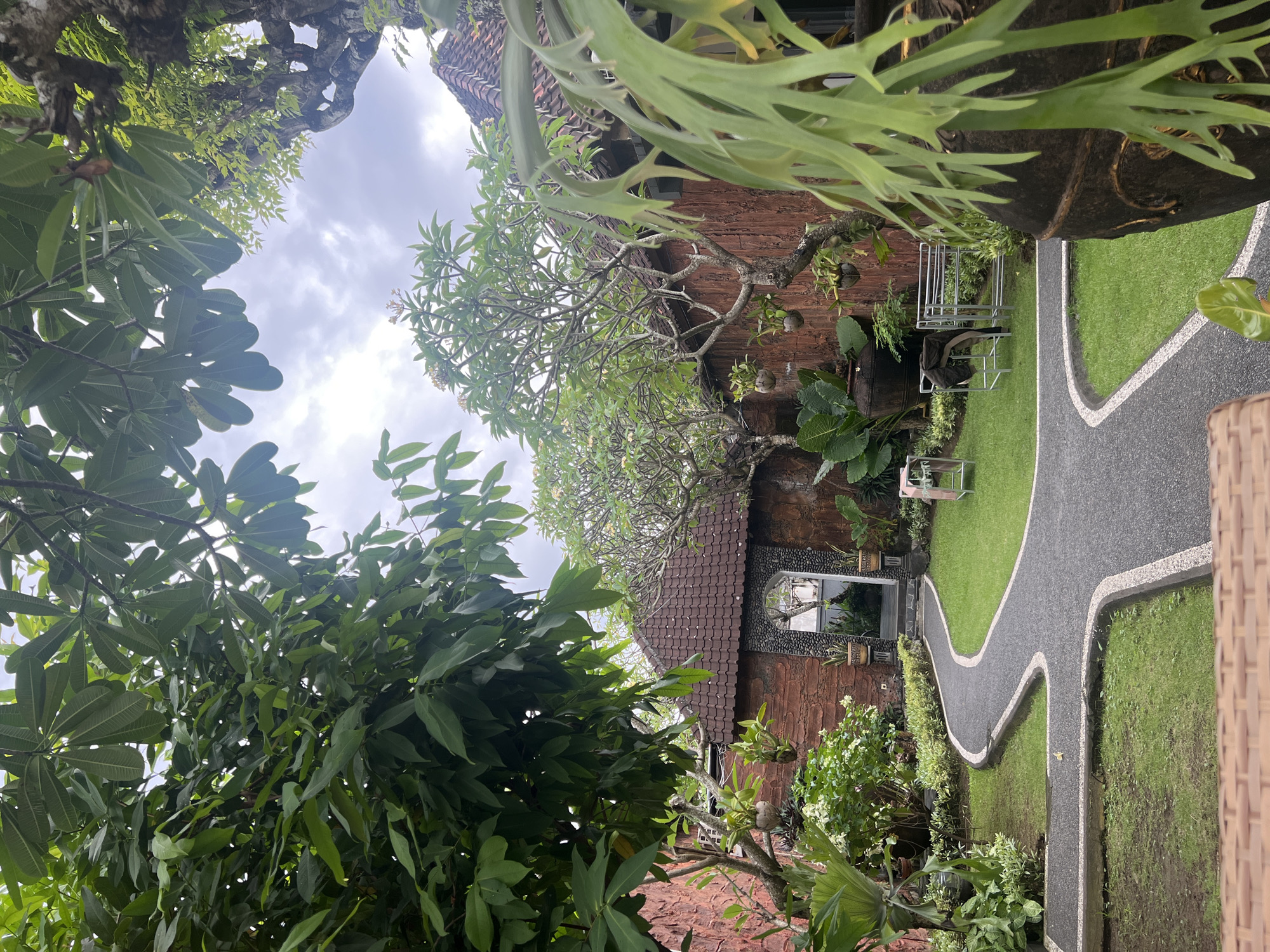 This image captures a serene, tropical garden setting, likely part of a resort or private residence in Kuta Selatan, Indonesia. The view is angled slightly upwards, framed by dense, green foliage, suggesting an immersive natural environment.
Dominating the scene are various lush plants and trees. Overhead and on the left, large trees with thick, vibrant leaves and sturdy branches create a natural canopy. Among these are several frangipani trees, some showing pale blossoms, and what appear to be staghorn ferns clinging to tree trunks on the right side.
In the midground stands a building with a reddish-brown tiled roof and walls, possibly constructed from brick or stone. It features a distinctive arched or rounded door/window frame adorned with small, light-colored stones, reflecting the surrounding greenery and cloudy sky.
A winding, dark grey pathway, neatly edged with lighter stones, curves gracefully through a well-maintained, bright green lawn. To the right of the building, on the grass, a small outdoor seating area with white metal chairs and a table is visible. Additional plants in hanging pots, possibly made from coconut shells, are suspended near the building.
The weather appears to be a bright but overcast day, with clouds visible in the sky. There are no people visible, and no specific activities are taking place, contributing to a peaceful and inviting atmosphere. No visible text is present in the image.