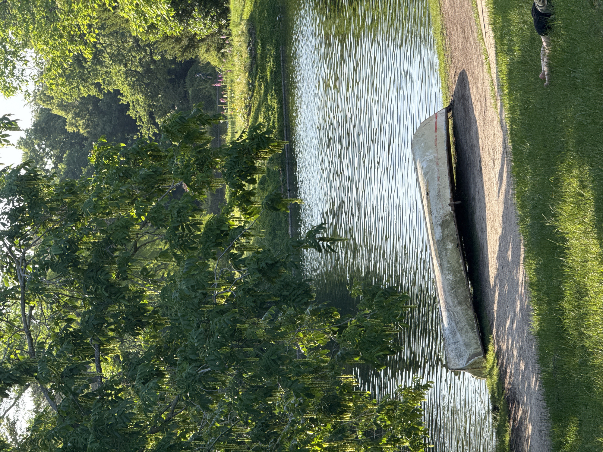 A horizontal eye-level shot captures a landscape scene with a pond, a boat, and vegetation. A small pond with rippled water fills the center, reflecting light and shadows. A white canoe rests sideways, partially on the pond's edge and partially on a narrow dirt path running along the bank. Green grass covers the area next to the path.
On the left, foliage from trees dominates the foreground, creating a dense, leafy screen with sunlight filtering through the leaves. In the background, more trees and vegetation create a lush backdrop. A portion of a person is visible on the right side of the image standing on the grass.
Given the description, it is impossible to know if this is in Paris, France.