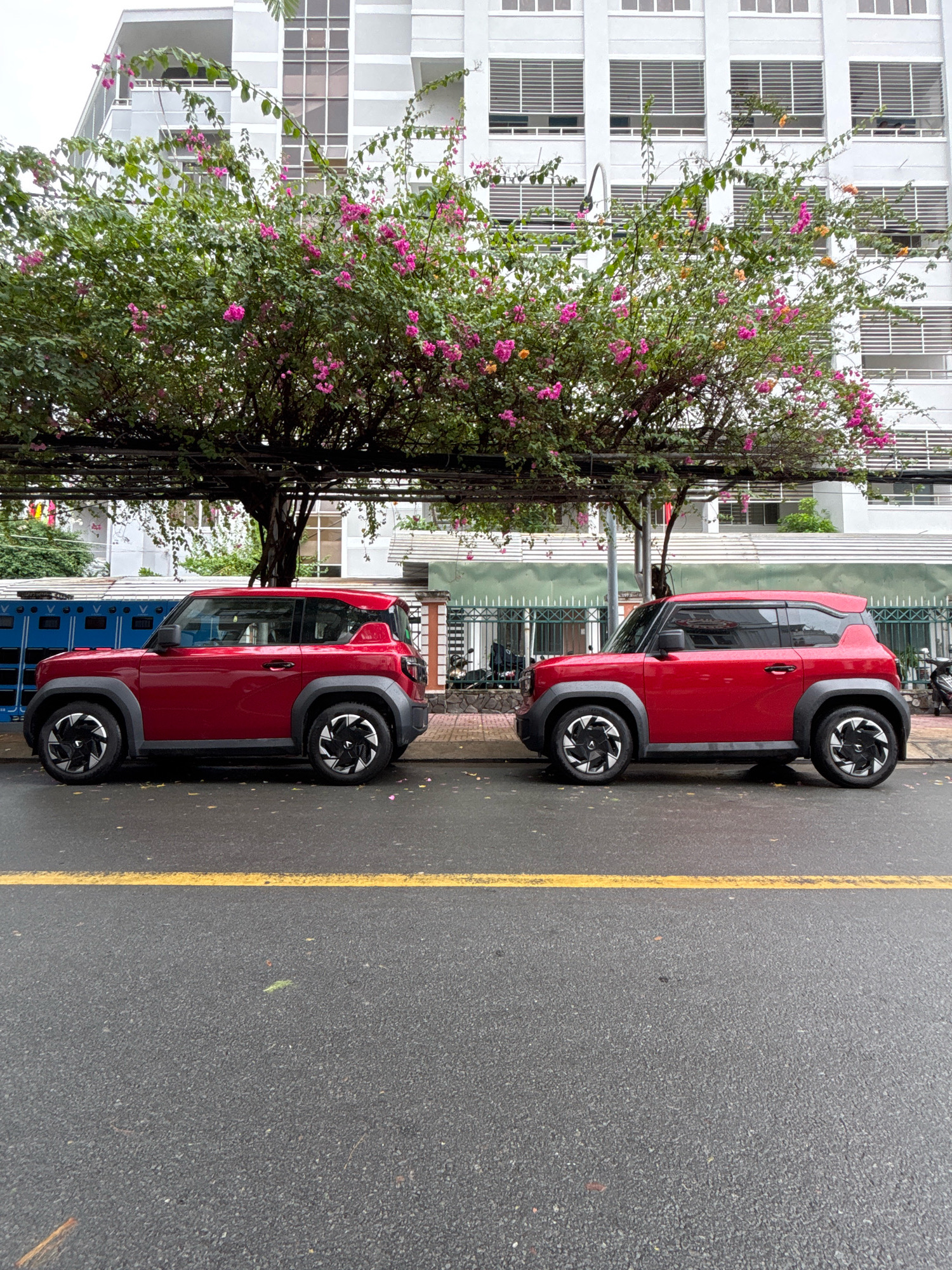Two identical red mini-SUVs are parked side-by-side on a wet asphalt street in Nha Trang, Vietnam. A single yellow line demarcates the parking area from the road. Behind the vehicles, a green metal fence encloses a sidewalk with a blue gate to the left. Above the fence, a tree with vibrant pink flowers provides shade. In the background, a multi-story white building with horizontal windows stands tall. The scene appears to be a typical urban streetscape in Nha Trang.