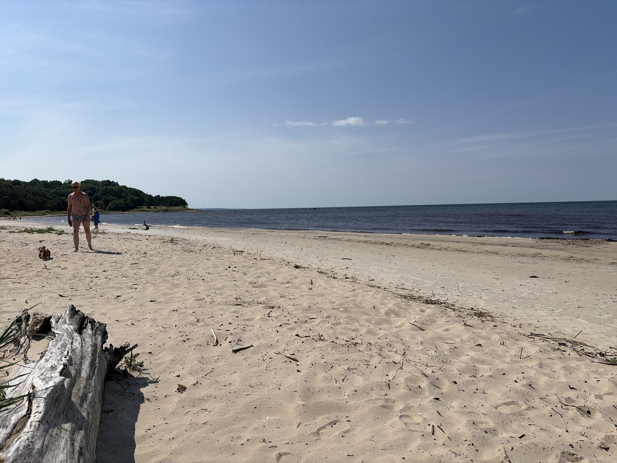 The image depicts a beach scene in Vääna-Jõesuu, Estonia. In the foreground, a large piece of driftwood lies on the sandy beach. Further back, a man wearing sunglasses and grey shorts stands on the sand, facing left. A small brown dog sits to his left. Another person in a blue dress walks in the background. The beach stretches towards a body of dark water, with a line of trees bordering the horizon. The sky is a clear blue with a few scattered clouds. The overall environment is natural and tranquil.