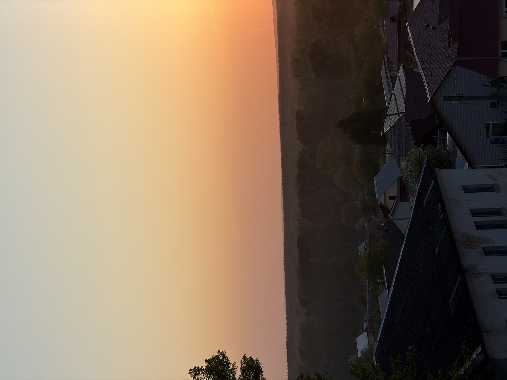 The image depicts a sunset over a forested area near Chaikovsky, Russia. To the right, residential buildings are visible, including a multi-story white building with dark-framed windows and gabled roofs of various houses. The sky transitions from a pale yellow-orange near the horizon to a deeper orange higher up. Dark silhouettes of trees line the edge of the forest. The photograph is oriented with the horizon appearing vertically.