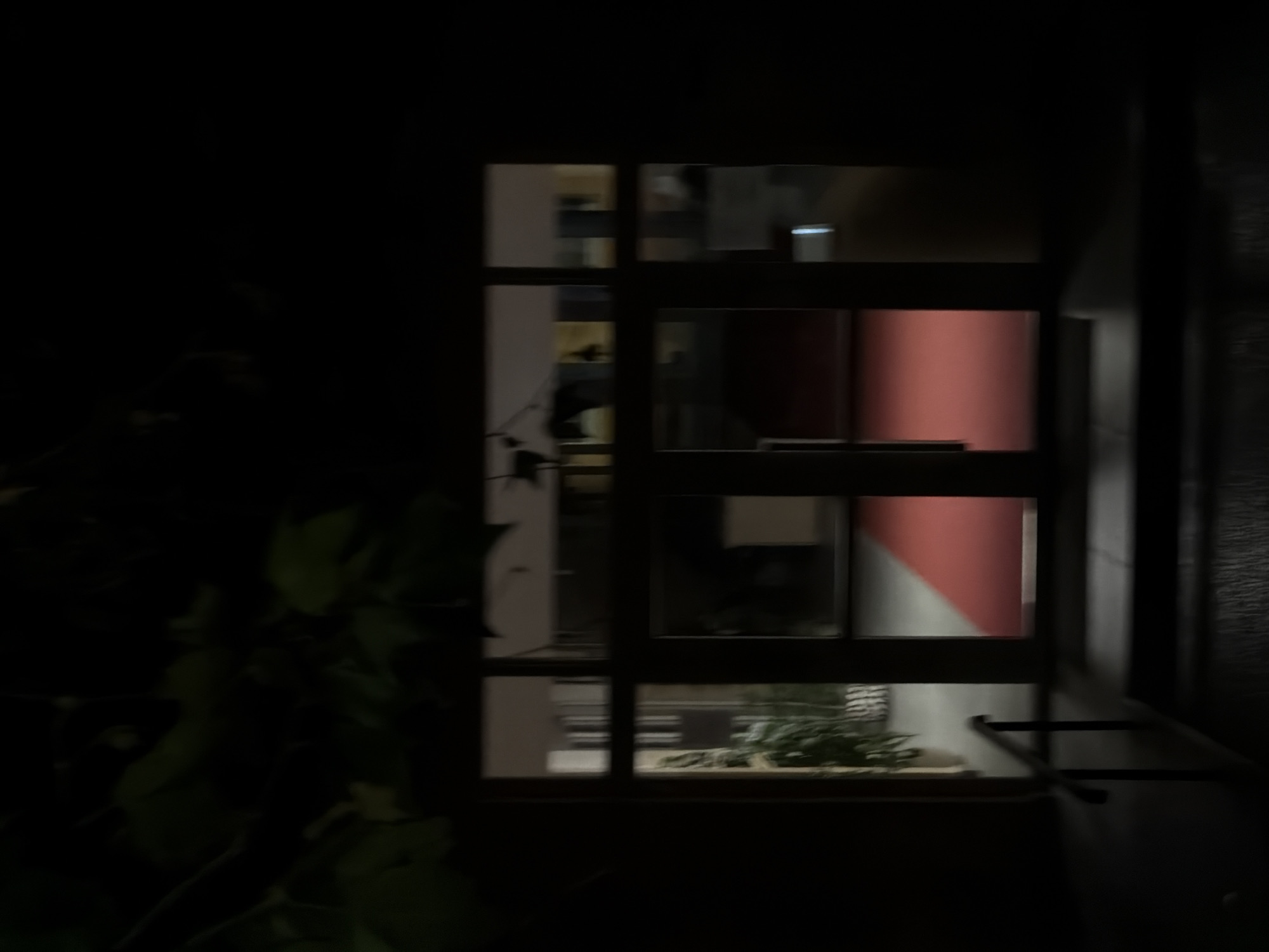 A view through a multi-paned window at night reveals an interior with a plant in a planter. A red wall is visible through one pane. The window is framed by exterior foliage on the left and a dark wall on the right. No people are visible. The location is undetermined, although Podgorica, Montenegro, was mentioned as a possible city.