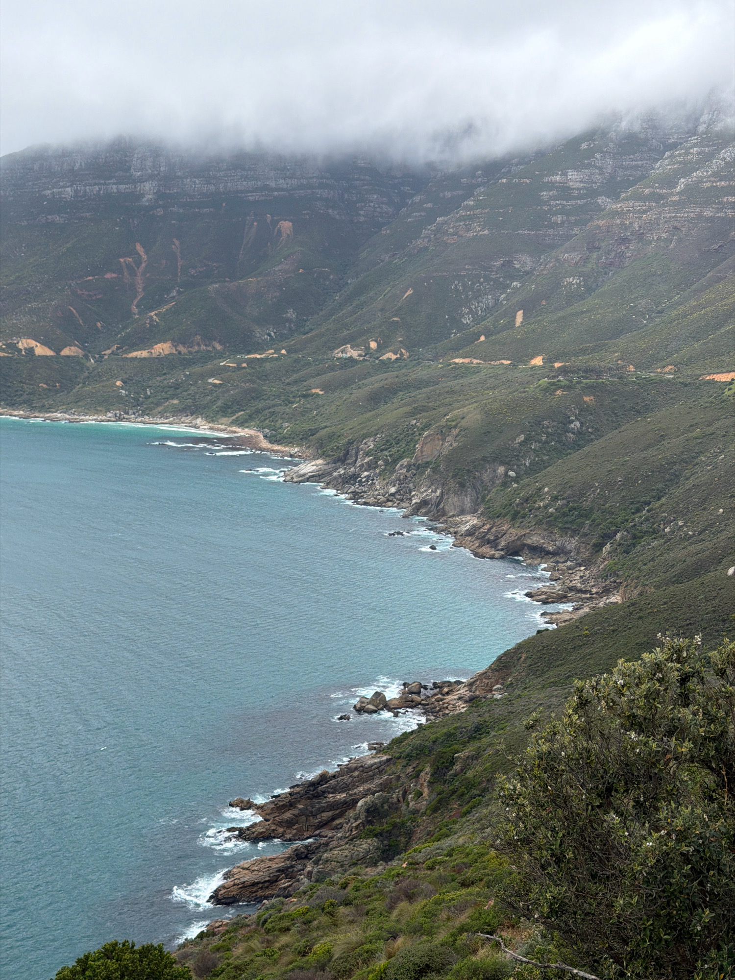 A high-angle shot depicts a rugged coastline in Hout Bay, South Africa, under an overcast sky. The foreground features dense green vegetation with a large, leafy bush partially obscuring the view on the right. The mid-ground showcases the teal ocean meeting a rocky shoreline with waves crashing against the dark brown rocks. The background reveals a steep, green mountainside dotted with scattered rocks and faint traces of a road winding along its contour. In the distance, the top of the mountain is shrouded in thick, grey clouds. The scene is devoid of any people or visible man-made structures other than the potential road. The lighting is diffused due to the cloudy conditions, creating a muted color palette.