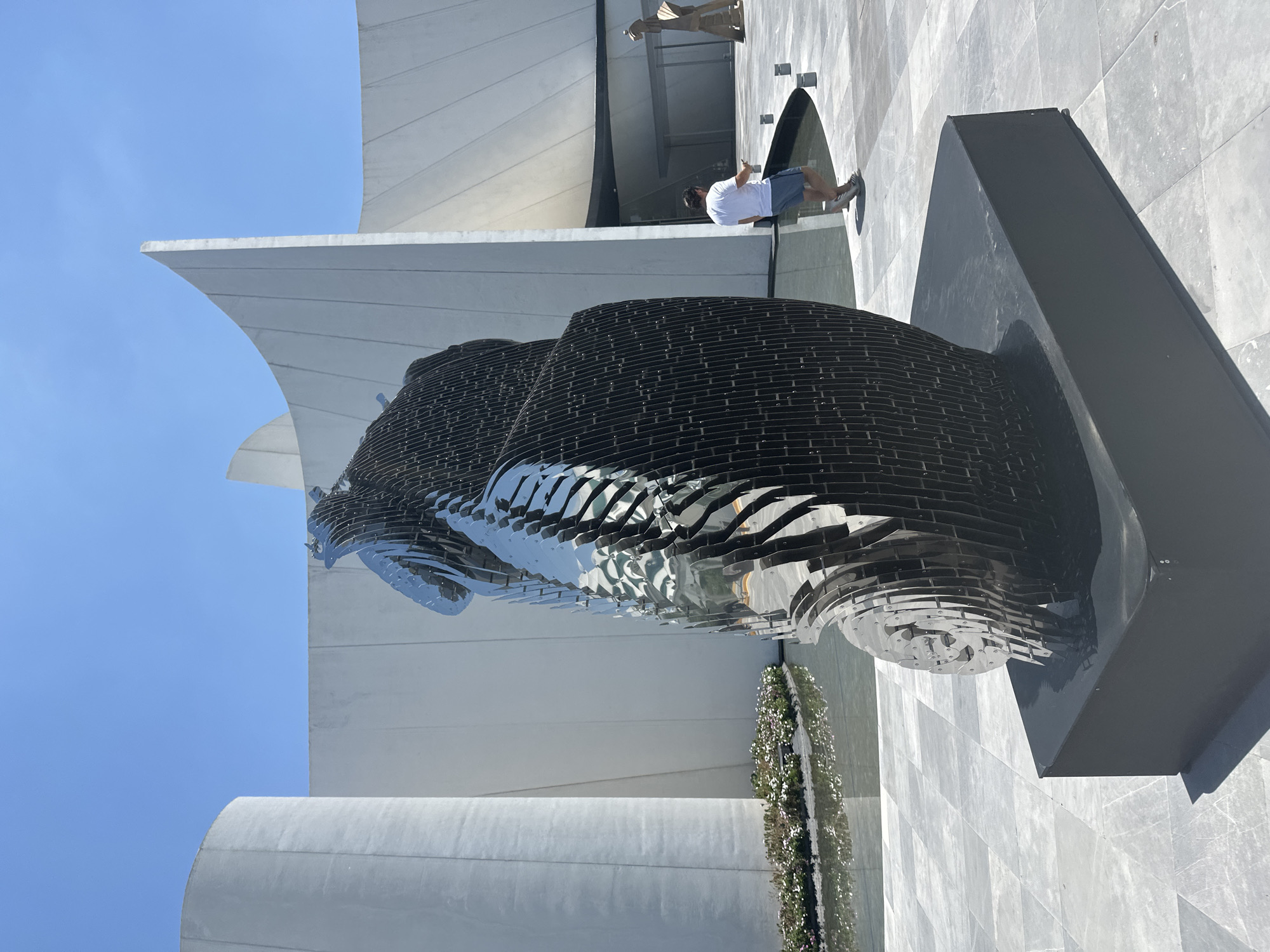 The image presents a modern outdoor scene dominated by a large, abstract sculpture in San Bernardino Tlaxcalancingo, Mexico. The central feature is a monumental, head-shaped sculpture constructed from numerous horizontal, dark, and highly reflective metallic plates or segments. These layered segments create a textured surface that mirrors the bright blue sky and the surrounding environment. The sculpture is situated within or rises from a dark, rectangular base, possibly a shallow water feature.
In the mid-ground, a person wearing a white t-shirt, grey shorts, and sneakers stands to the right of the main sculpture, appearing to observe the art piece or the immediate vicinity.
The background features striking contemporary architecture with smooth, light-colored surfaces, possibly concrete or stone. These buildings exhibit a blend of sweeping curves and sharp angular lines, forming a visually dynamic backdrop. One structure includes a large, concave facade. Another smaller, abstract figure or sculpture is faintly visible in the upper background, near one of the architectural elements.
The ground is a paved plaza composed of large, light grey geometric tiles. A narrow planter filled with small green plants and delicate white and pink flowers adds a natural element to the structured setting.
The scene is brightly lit by strong sunlight under a clear, azure sky, creating distinct shadows that accentuate the forms of the sculpture and architecture. This crisp lighting underscores the contemporary and artistic nature of the public space. No visible text is present in the image.