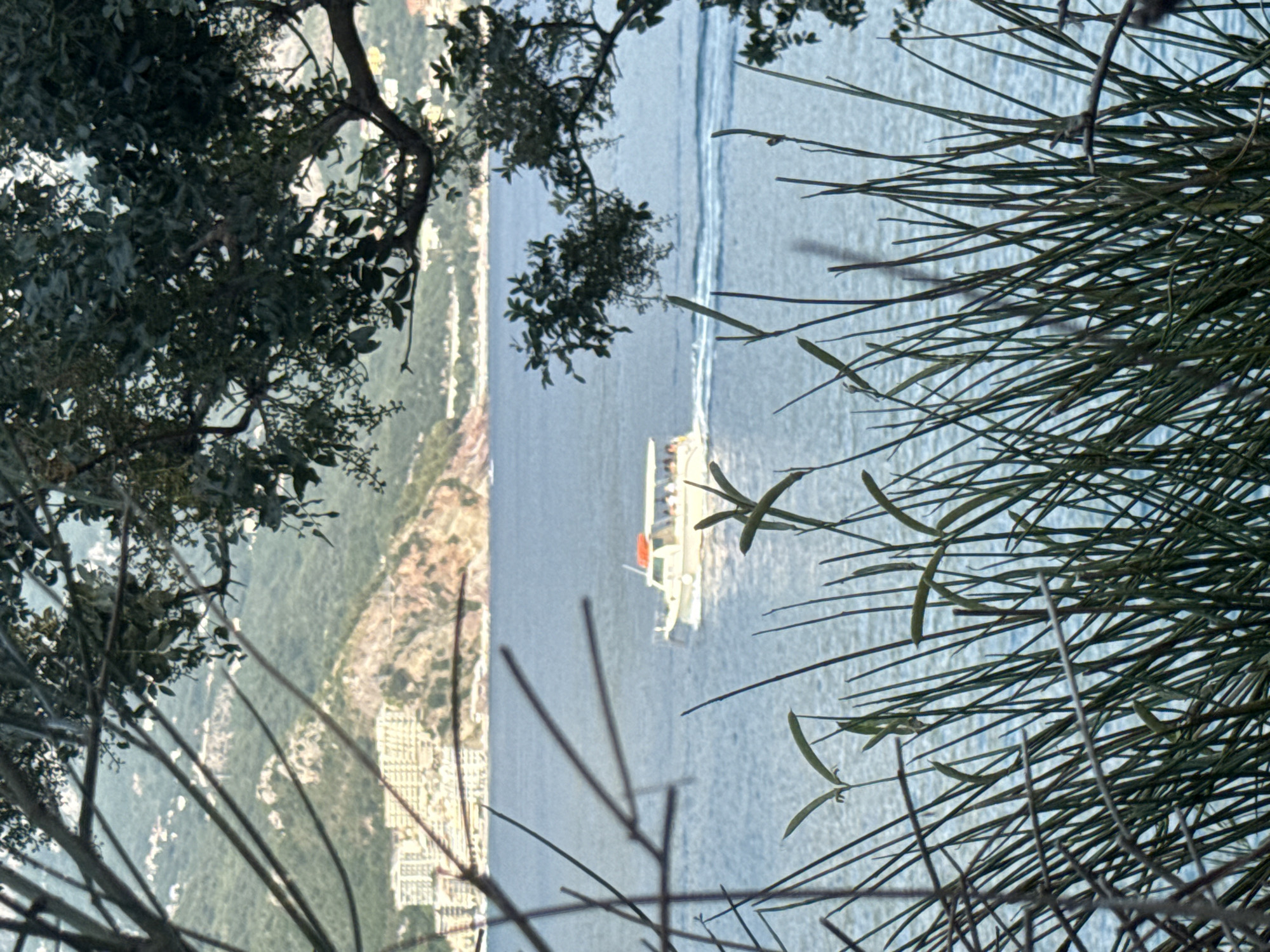 The media file is a photograph taken from an elevated viewpoint overlooking a body of water and a coastline. The scene is framed by dark foliage in the foreground, with thin branches and leaves obscuring parts of the view.
The main subjects are a white boat with a few visible people on its deck, navigating through blue water. The boat appears to be a passenger vessel. In the background, a hilly coastline is visible, dotted with buildings and vegetation, suggesting an urban or semi-urban coastal settlement. The water is choppy, with white lines indicating wakes from the boat.
The image appears to be taken during daylight hours, with natural light illuminating the scene. The weather seems clear, allowing for a good view of the distant coastline. The composition suggests a scenic overlook, possibly a popular tourist spot. The orientation of the image is rotated, making the coastline appear vertical.
There is no visible text in the image. The overall impression is one of a tranquil day at sea, with a boat journeying along a picturesque coastline.