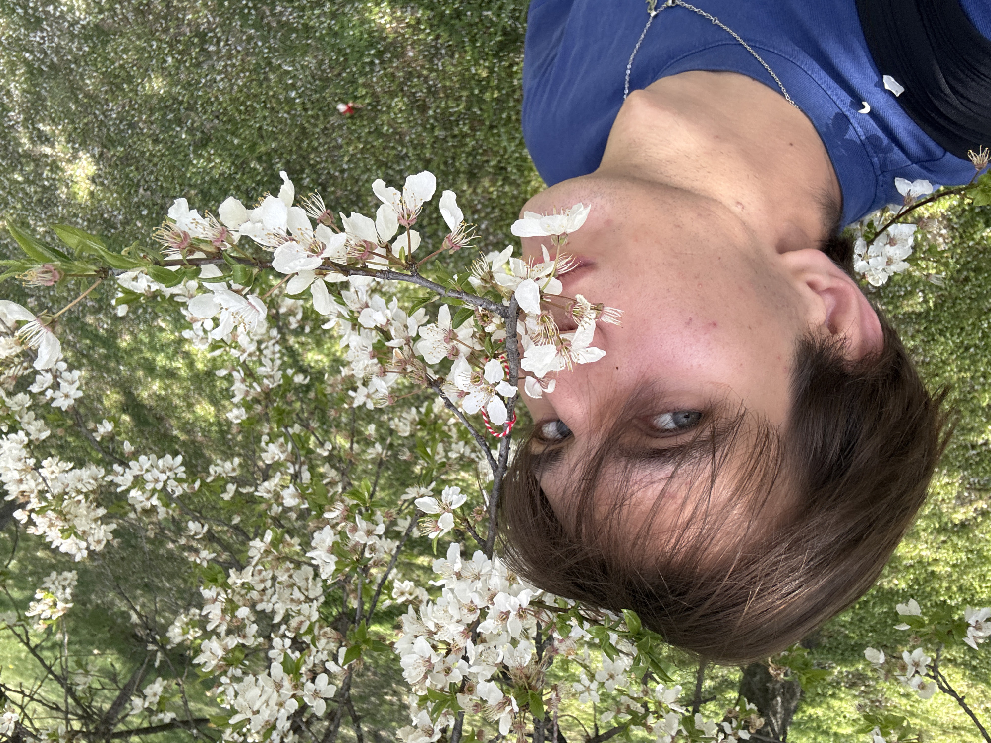 A person is lying on their side on grass, partially obscured by a blossoming tree with white flowers. The person has brown hair and blue eyes and is wearing a blue t-shirt and a silver necklace. There is a red and white Martenitsa bracelet tied to a branch of the tree. The location is likely Sofia, Bulgaria, based on the Martenitsa, a cultural symbol commonly worn in Bulgaria during the month of March.