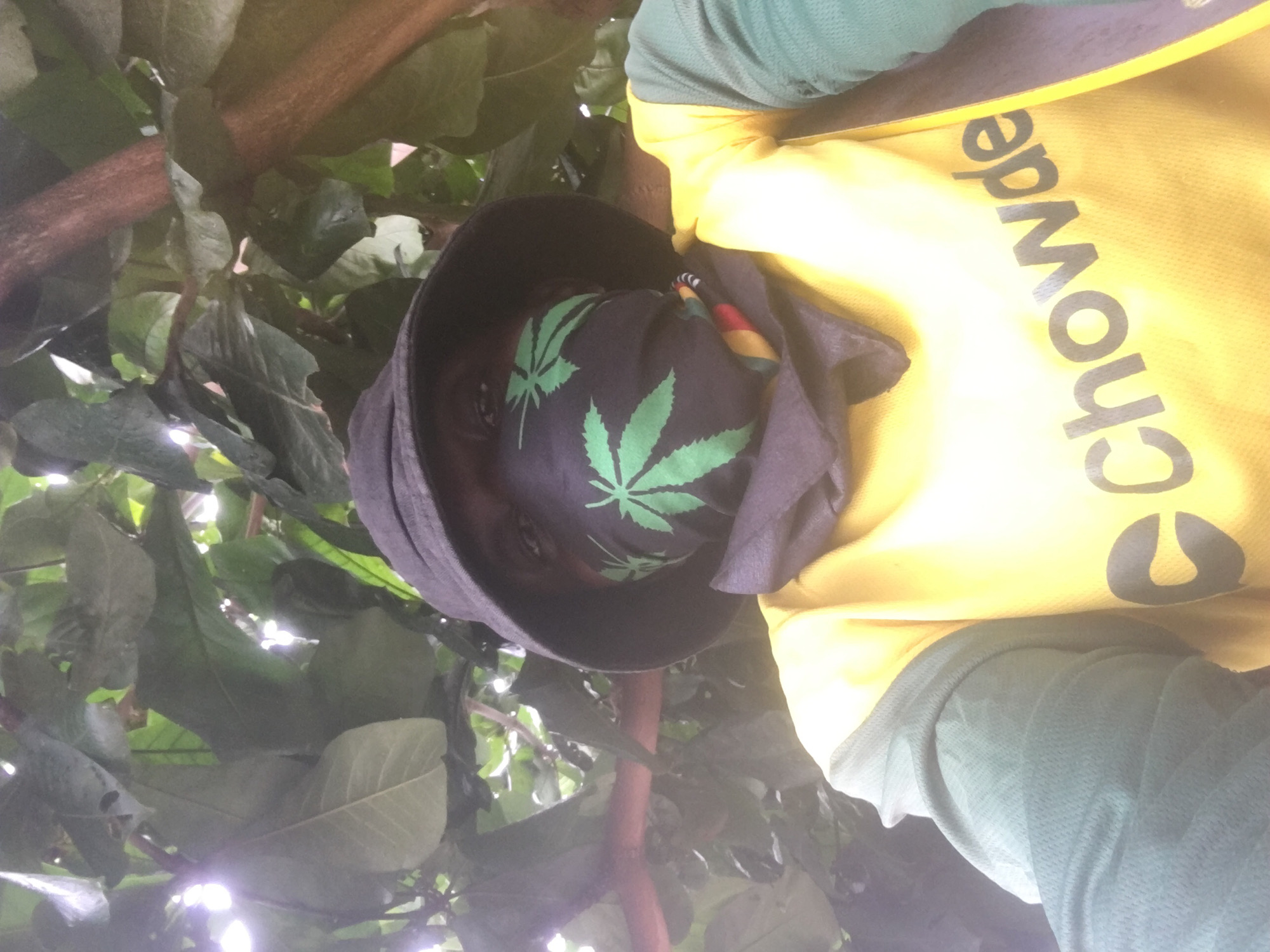 A vertical, full outdoor shot depicts a person from a low-angle perspective. The individual wears a bucket hat with green cannabis leaves imprinted on it, partially obscuring their face. The person is wearing a yellow shirt with the word “Chowdeck” printed on it. The surrounding environment consists of a tree and abundant foliage. The location is Ado, Nigeria.