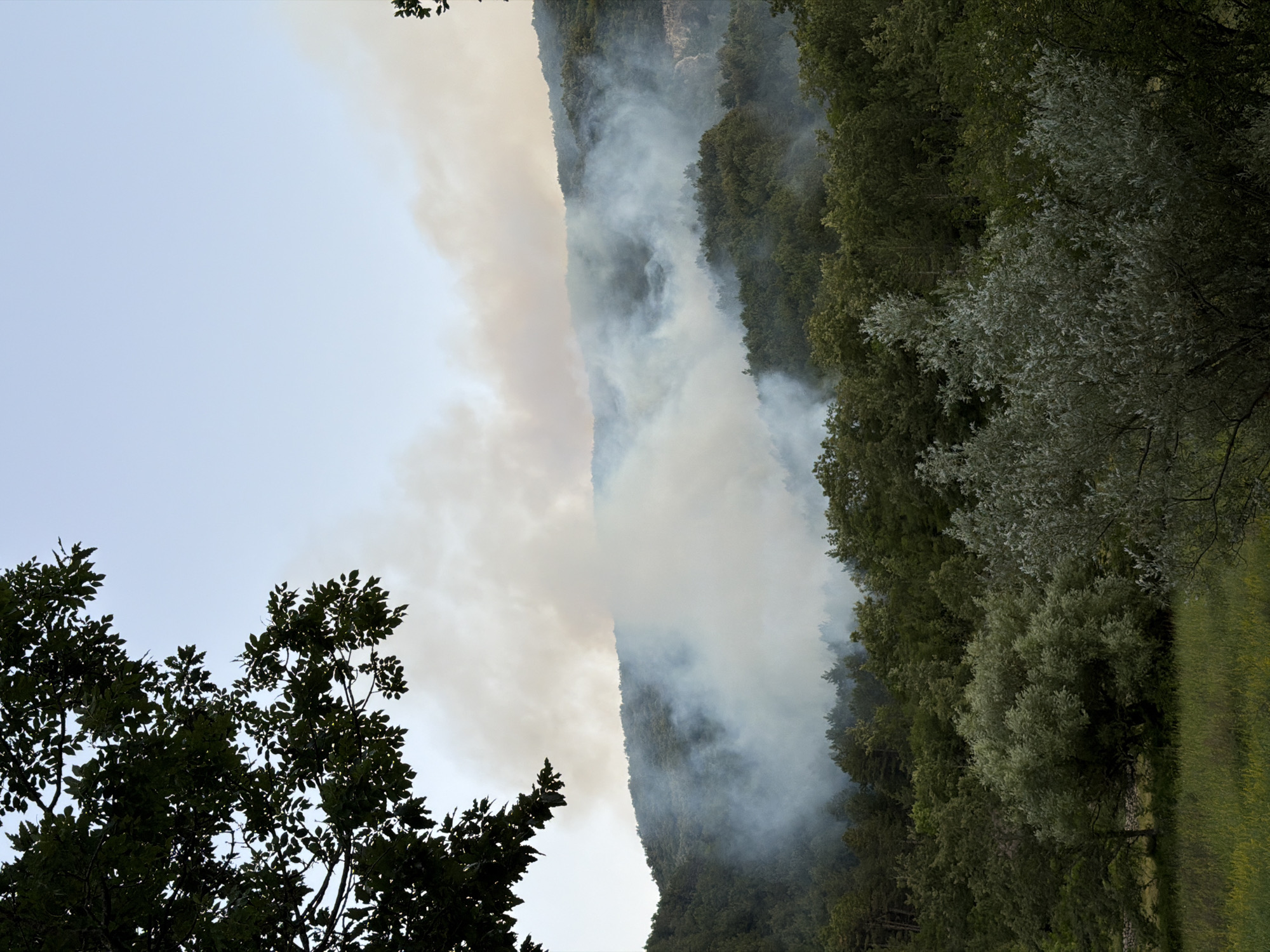 The image shows a landscape with a hill covered in trees, a large amount of smoke emanating from the upper part of the hill, and a clear sky in the background. The smoke is white and grey, indicating a potential fire. In the foreground, there are several trees and a grassy field. The scene appears to be located in a rural or natural area, possibly the city of Gluhi Do, Montenegro, given the context. There are no people or specific objects visible in the image besides the natural elements and the smoke.