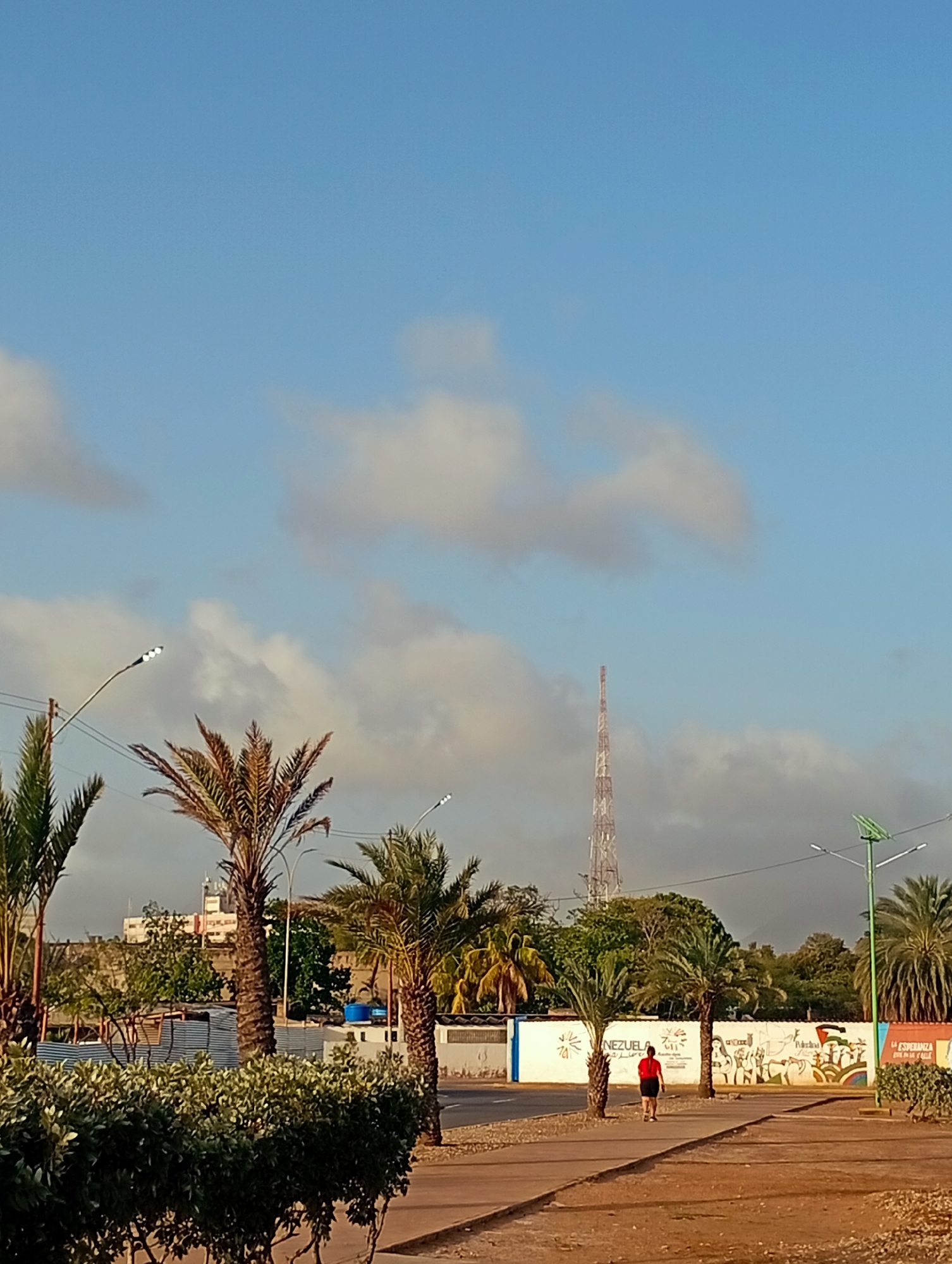 This image depicts an outdoor urban scene in Juan Griego, Venezuela, under a bright, partly cloudy sky, likely during the late afternoon or early morning.
In the foreground, a low, dense hedge of green bushes runs along the left side, bordering a paved sidewalk. A single person, seen from the back, walks leisurely on this path, wearing a red shirt and dark shorts. Several tall palm trees with mature, often dry, fronds are prominent throughout the midground, lining the path and obscuring some background elements. Modern streetlights with LED fixtures, one equipped with a green solar panel, are visible along the route.
The midground also features a long, white wall adorned with colorful murals and graffiti. Visible text on the wall includes "VENEZUELA," and parts of a phrase "La Esperanza vive en la calle" (The Hope lives on the street). The murals depict various figures and symbols, suggesting cultural or political themes. Behind the wall, more trees and some distant buildings are discernible.
In the background, a tall, slender lattice communication or radio tower stands prominently against the blue sky, adding an industrial element to the landscape. The overall atmosphere is peaceful, capturing an everyday scene in a tropical or semi-arid environment.