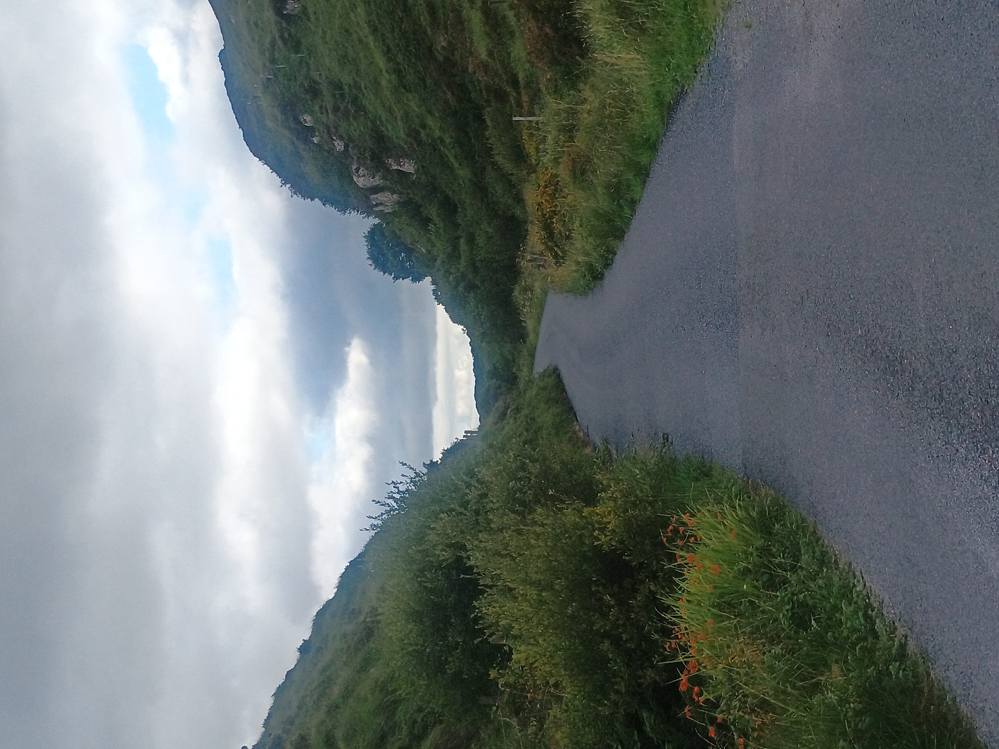 An asphalt road curves through a valley. The road is gray and appears to be in good condition. The valley is covered in lush green vegetation and rolling hills. The sky is overcast with gray clouds. There are some red flowers growing on the side of the road. The scene appears to be a rural landscape.