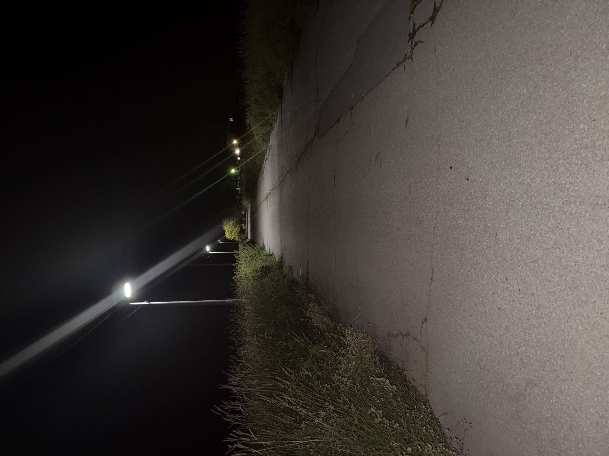The image depicts a nighttime scene on a paved pathway in Smyadovo, Bulgaria. A street lamp on the left illuminates the scene with a bright beam of light that cuts across the dark sky. The pathway, cracked and weathered, stretches into the distance, bordered by tall, dry grass on the left and a low hedge on the right. In the background, more street lights are visible, as well as distant building lights. The environment appears to be a rural or semi-rural area on the outskirts of the town, likely a park or a less-trafficked road, given the vegetation and the sparse lighting. No people or animals are visible in the frame.