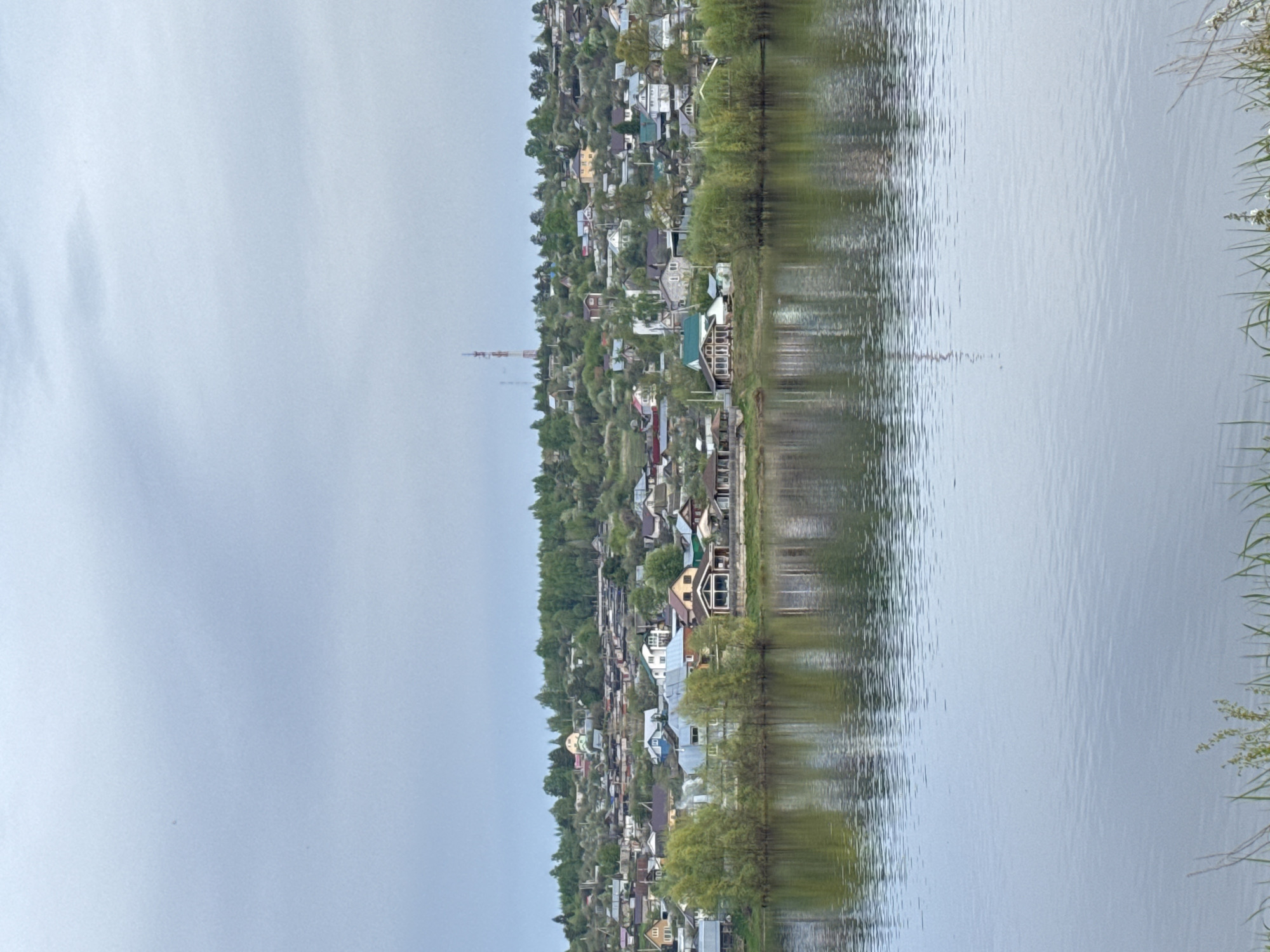 The image depicts a view of a town, possibly located in or near Chaikovsky, Russia, situated on a hillside alongside a body of water. The town features densely packed residential buildings with diverse roof colors and architectural styles, interspersed with greenery. A tall transmission tower is visible. The water reflects the town and surrounding vegetation, creating a mirrored effect. The sky is overcast and gray. In the foreground, vegetation can be seen growing along the water's edge. The image orientation is rotated 90 degrees.