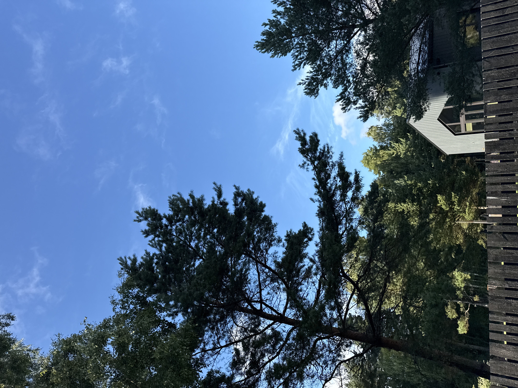 The image captures a bright, sunny day in Harkujärve, Estonia, with a clear blue sky dotted with wispy white clouds. In the foreground, a weathered, dark wooden fence runs horizontally across the bottom of the frame, partially obscuring the view of the scene behind it. Beyond the fence, a dense forest of evergreen and deciduous trees dominates the midground, their lush green foliage silhouetted against the bright sky. To the right of the image, a modern, angular building with a metallic facade and a steeply pitched roof peeks through the trees. The architecture of the building suggests a contemporary design. The overall impression is one of a serene, natural setting with a modern dwelling integrated into the landscape. There are no people or animals visible in the image, and no actions or interactions are depicted.