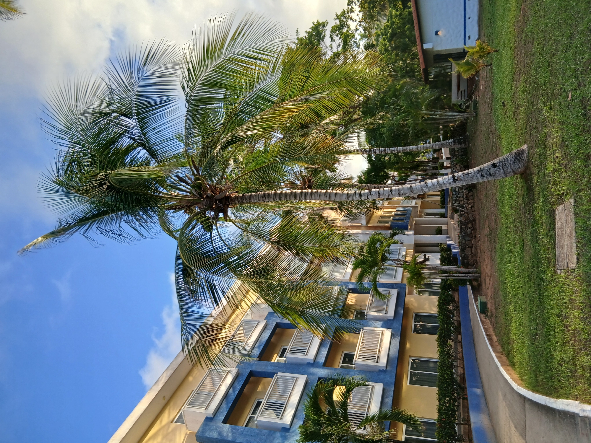 The image depicts a resort in Playa El Agua, Venezuela. A multi-story building with blue and yellow facade and white balconies is visible on the left, with palm trees in the foreground and middle ground. A paved walkway curves from the lower left towards the building. A smaller white building with a red-tiled roof is situated to the right of the main structure, with some greenery and more palm trees in the background. The sky is blue with scattered white clouds. The ground is covered in green grass, with some stone and concrete elements.