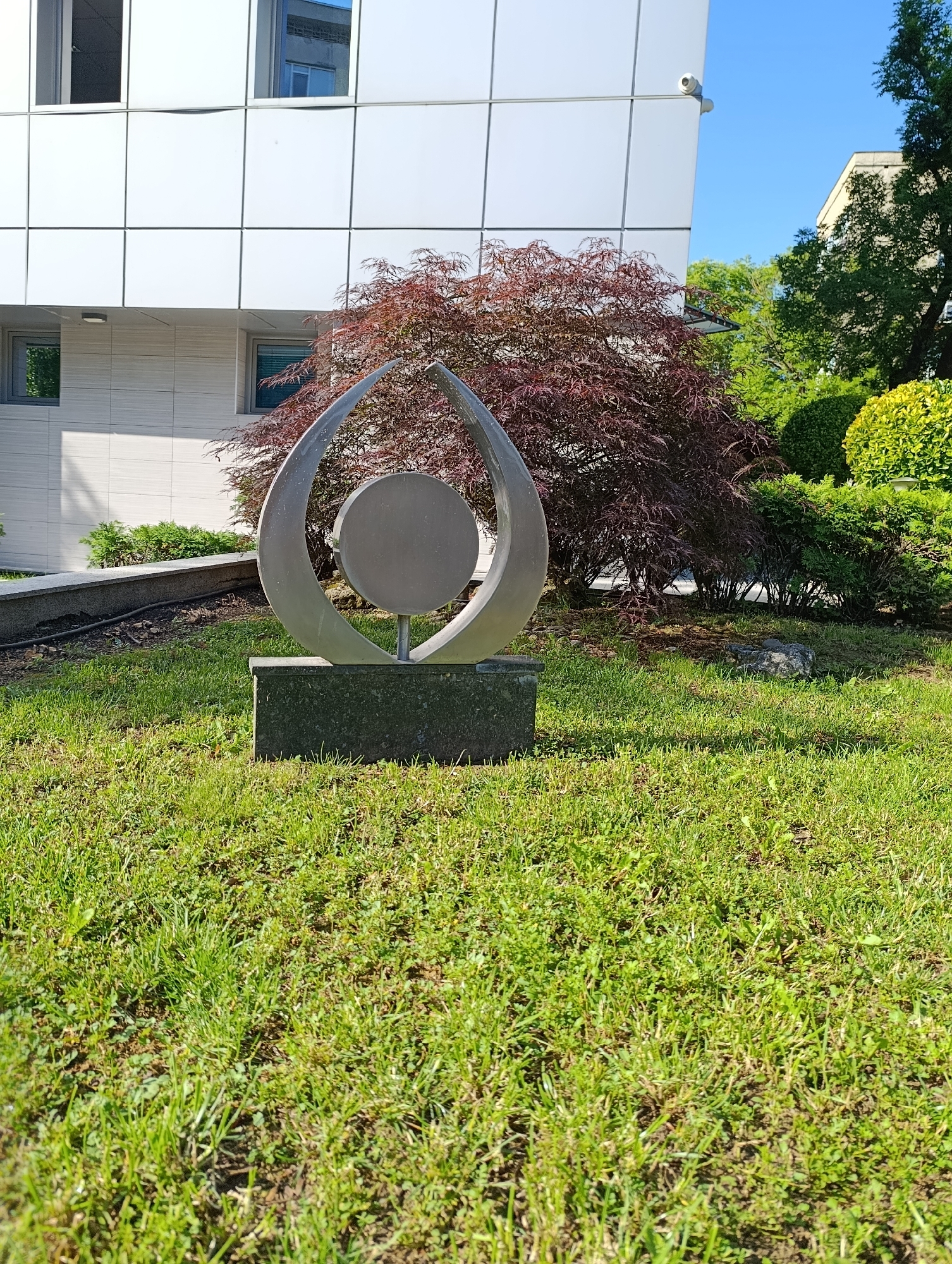 A contemporary outdoor sculpture is displayed on a manicured lawn in front of a modern building. The sculpture, made of polished metal, features two curved elements framing a central circular disk. It rests on a dark granite base. Behind the sculpture, a Japanese maple with deep red foliage adds a splash of color, contrasting with the lush green grass and manicured hedges. The building in the background has a facade of white panels and windows. The scene is bathed in bright sunlight, casting shadows on the grass, and the sky is a clear, vibrant blue. This sculpture is located in front of the "ISB Bulgaria" office building in Razgrad, Bulgaria. There are no people present in the image.