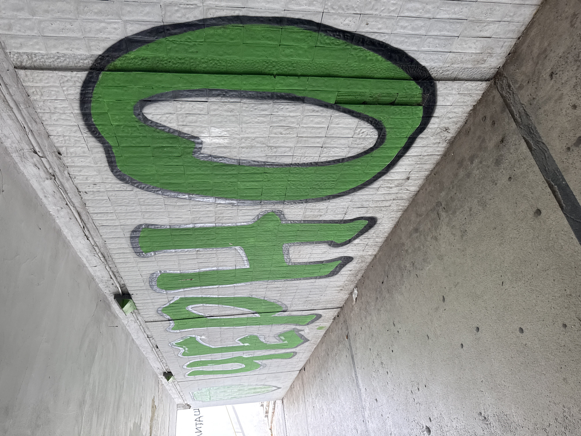In an underground pedestrian tunnel, a large green graffiti tag with a black outline covers a white tiled wall. The graffiti spells out "ЧЕРНО" in Cyrillic letters, meaning "black" or "darkly." The tunnel has a concrete floor with small indentations and a white ceiling with visible pipes and lighting fixtures. The perspective is from a low angle, looking down the tunnel towards the graffiti. The lighting is dim, suggesting an overcast day or artificial lighting. The overall scene is characteristic of urban street art in an underpass.