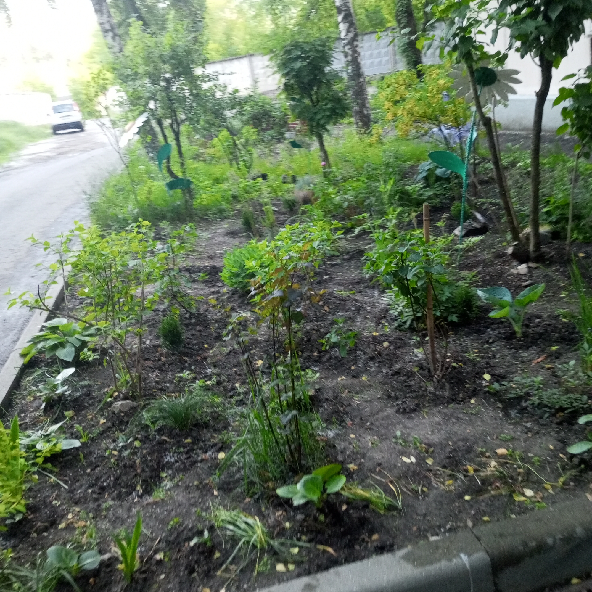 A low-angle, slightly blurry, outdoor photograph shows a garden bed alongside a paved surface, possibly a sidewalk or road, with a white van parked in the background on the left. The garden bed is filled with various plants, including small trees, shrubs, and ground cover. Several decorative elements are present in the garden, including a large, white, daisy-like ornament with a green center, and two green, leaf-shaped ornaments. The background shows a concrete fence and more trees. The scene appears to be in an urban environment.