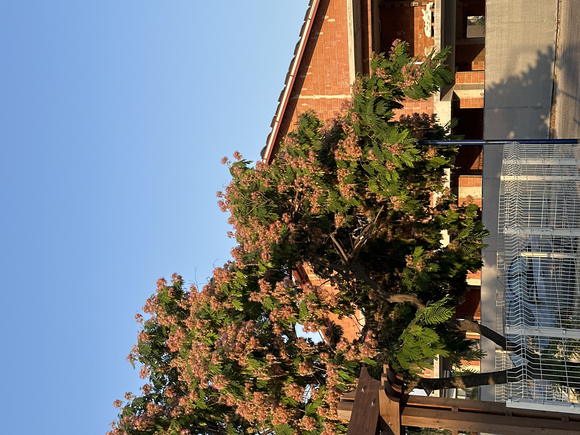 The image depicts an outdoor scene in the city of Fethiye, Turkey, bathed in the warm light of what appears to be late afternoon or early morning. In the foreground, a vibrant green tree with delicate pink blossoms dominates the left side of the frame. The tree has a broad canopy, its branches extending towards the right. Partially visible to the left of the tree is a wooden pergola-like structure.
Behind the tree, construction is underway on a building. The structure is partially completed, with exposed brick walls and concrete beams visible. The roof is tiled in a reddish-brown color. A white metal fence with a distinctive wavy pattern runs along the bottom of the image, separating the foreground from the street or property behind it. A parked car, partially obscured by the fence, is visible behind the fencing. A blue lamppost stands near the center of the image, casting a shadow on the ground. The sky above is a clear, bright blue. The overall impression is one of a sunny day in a developing urban environment.