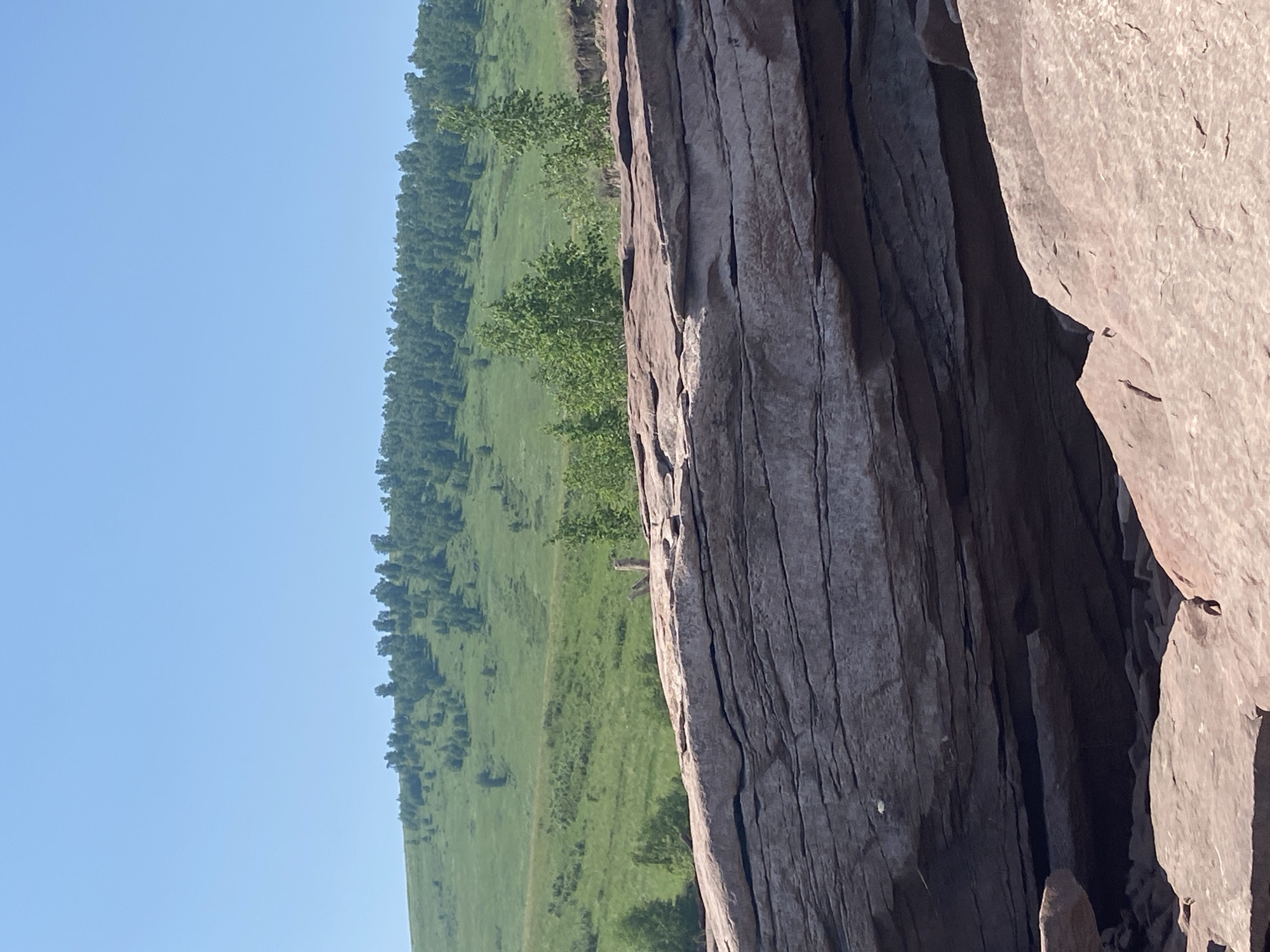 The image depicts a natural landscape under a clear blue sky. In the foreground, large, stratified rock formations, primarily reddish-brown and grey, dominate the lower portion of the frame. The rock layers are distinct and weathered. In the mid-ground, a small, light-brown creature, possibly a marmot or similar rodent, stands on a rock ledge, facing towards the left. Beyond the rocks, rolling green hills ascend, dotted with clusters of green trees. The hills themselves are covered in grass and exhibit subtle undulations. The distant horizon is marked by a dense band of trees forming the crest of a hill, against the backdrop of the sky. The scene is consistent with an outdoor environment in a rural or natural area, potentially within the vicinity of Ust'-Erba, Russia, known for its picturesque natural landscapes.