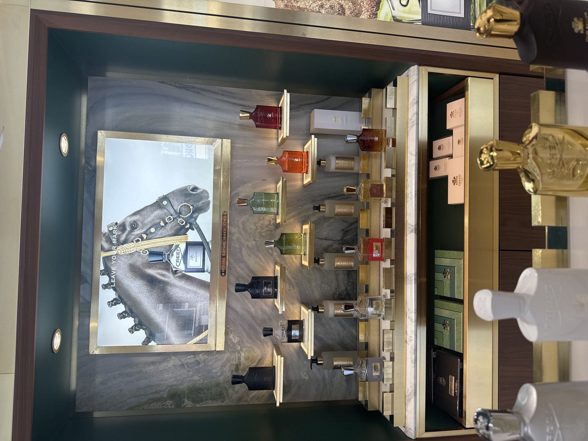 The image shows a well-lit, multi-tiered display of Creed perfumes in a retail setting. The display is backed by a marble-patterned wall and features a large advertisement above, depicting the head of a horse with a bottle of Creed Aventus perfume. Various Creed perfume bottles of different sizes and colors are arranged on golden shelves. Some of the bottles have black caps, while others have gold caps. There are also some boxes and smaller perfume bottles or testers on the lower shelves. The overall presentation suggests a luxury brand store. The location is identified as Germasogeia Municipality, Cyprus. There are no people visible in the immediate display area.