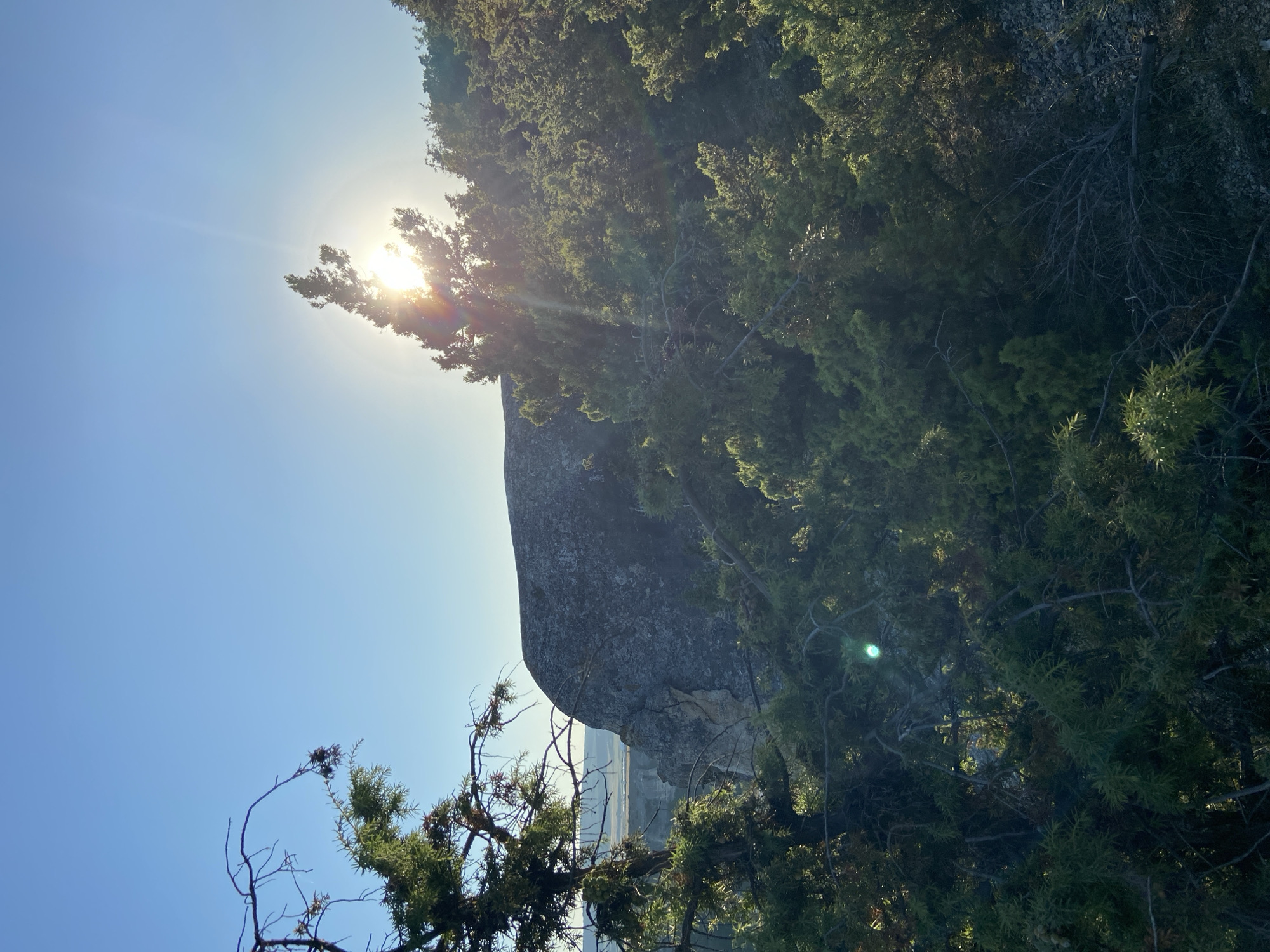 This is a photograph of a rocky outcrop partially obscured by evergreen trees, likely junipers, under a clear blue sky. The sun is visible, peeking through the branches of a tree in the upper right portion of the frame, casting sun flares and illuminating the foliage. The landscape suggests a natural, undeveloped area with sparse vegetation. The image appears to be taken in the vicinity of Krasnomakskoye rural settlement, Ukraine. There are no people or animals present in the scene. The overall impression is of a serene, sunlit natural landscape.