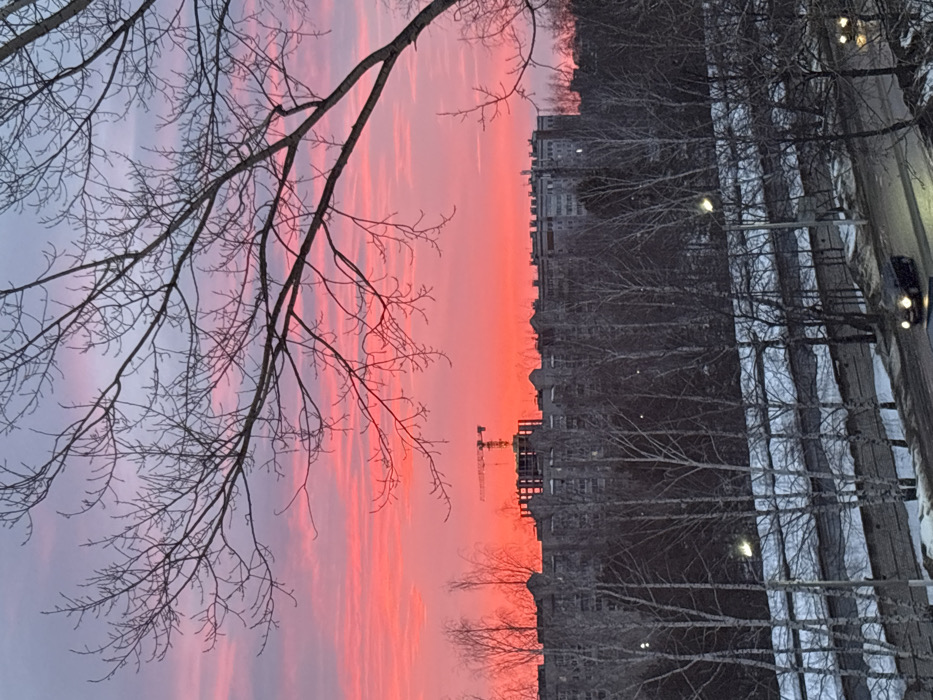 The image depicts an urban landscape during either sunrise or sunset in Chaikovsky, Russia. The sky is dominated by vibrant, deep red and orange hues, transitioning to lighter pinks and pale blue-grey at the top. Bare, leafless tree branches partially frame the upper left and right portions of the sky.
Below the horizon, a row of multi-story residential buildings, primarily grey in color, stretches across the midground. To the left, a tall construction crane, illuminated by the sky's light, stands prominent above an unfinished building structure. A dense line of bare trees, likely birches given their pale trunks, runs horizontally across the scene, separating the distant buildings from the foreground.
In the lower portion of the image, a paved road with multiple lanes is visible. Snow covers the ground adjacent to the road, indicating a cold season. Several streetlights are present, with at least one illuminated on the left. Two vehicles are on the road: a dark sedan with headlights on is moving from left to right in the immediate foreground, and another vehicle with illuminated headlights is partially visible further down the road on the right.