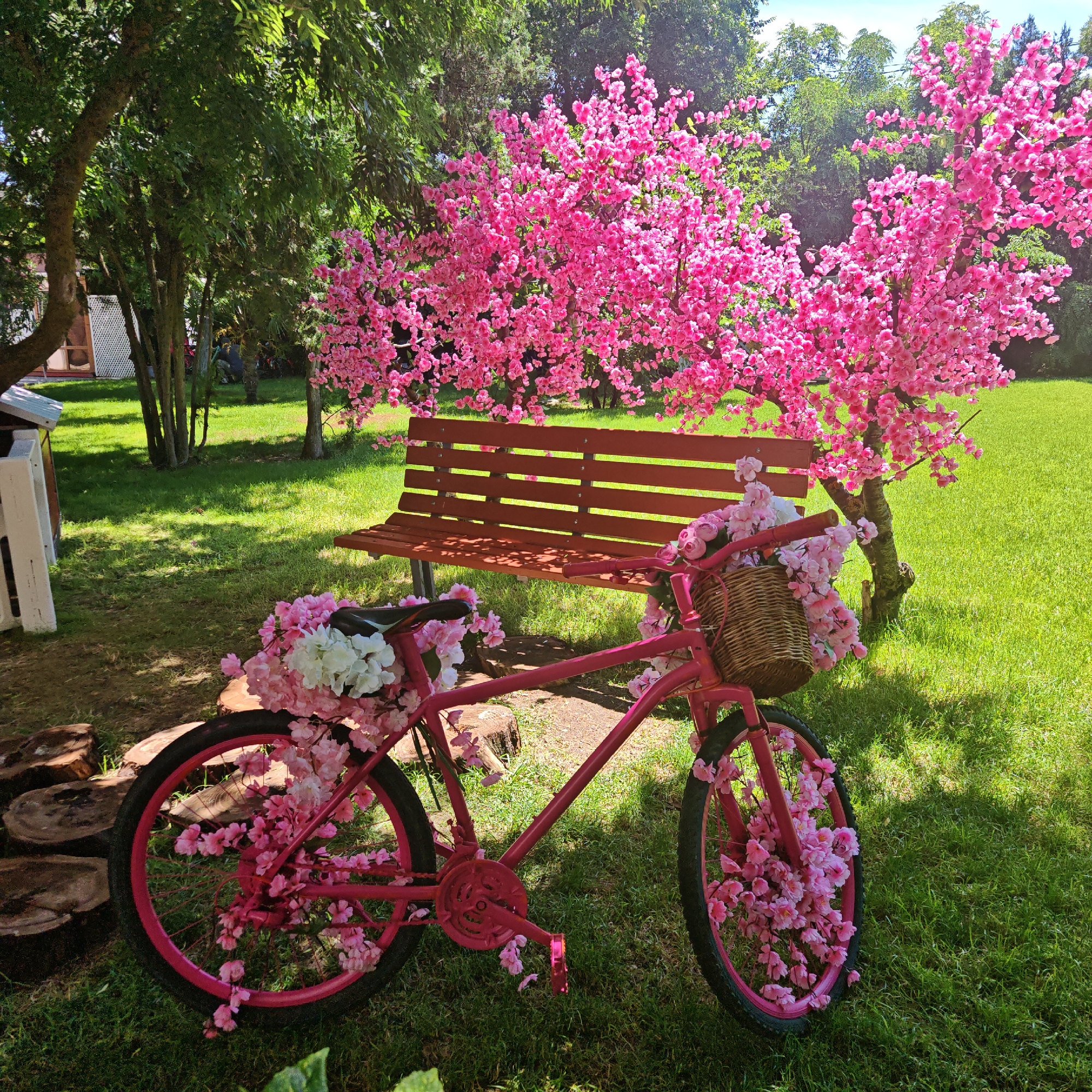 In a sunlit outdoor setting, a bright pink bicycle adorned with numerous artificial pink and white blossoms is positioned on lush green grass. The bicycle features a wicker basket on the handlebars, also filled with flowers. Behind the bicycle, a wooden bench with a reddish-brown finish rests in front of a decorative pink flowering tree, which appears to be artificial. The background consists of trees with green foliage and a clear sky. The location is identified as Мысовское сельское поселение, Ukraine. There are no people visible in the image.