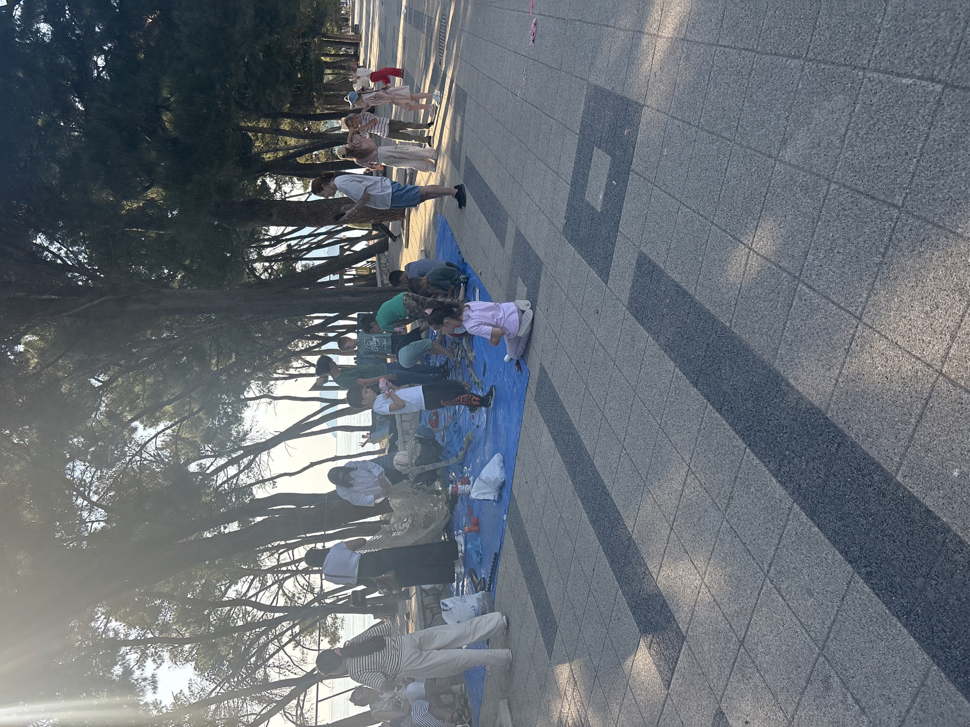 On a paved walkway, possibly in the city of Bar, Montenegro, a group of people are gathered on a blue tarp. The people appear to be sorting and cleaning items on the tarp. Some of the people are standing, while others are kneeling or sitting around the tarp. The tarp appears to be filled with various objects, possibly debris or trash. In the background, trees line the walkway, and there is a glimpse of the sea. The scene is sunlit, with long shadows cast by the trees and people.