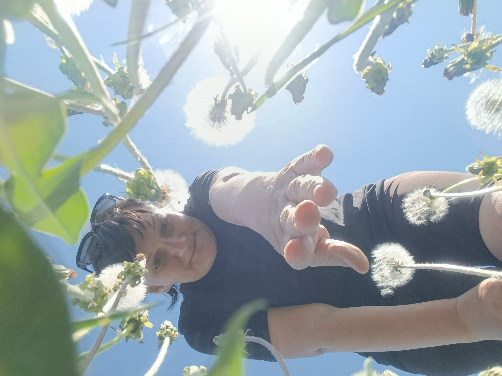 A low-angle shot depicts a woman reaching towards the camera. She has dark hair, sunglasses perched on her head, and is wearing a dark-colored shirt. Her hand is extended, palm facing outwards. Dandelions and their stems surround her and fill the frame. The sky is visible in the background, with a bright sun partially obscured by the dandelions. The location cannot be verified as Фоки, Russia.
