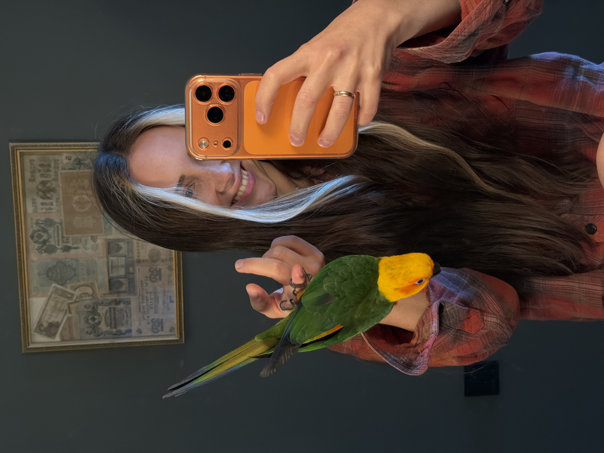 A medium shot captures a young woman with long brown hair, featuring prominent blonde streaks, as she takes a selfie with her smartphone. She is smiling and looking at the phone, which is held in her right hand, encased in an orange cover. On her left forearm, a green and yellow parrot is perched, its head facing down. The woman is wearing a red and black plaid shirt. In the background, a framed artwork hangs on a dark grey wall. The scene appears to be indoors, possibly in a residential setting. The image does not contain any identifiable landmarks or context to place it specifically in Khimki, Russia.
