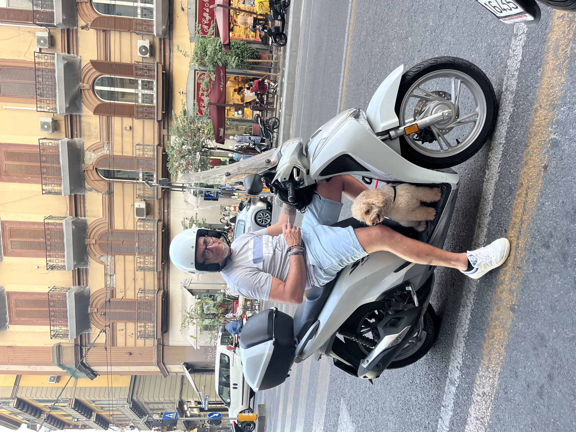 A man in a white helmet, glasses, a grey t-shirt, and light blue shorts sits on a white scooter with a small, light brown dog in front of him. The man is looking at the camera. The scooter is parked on a street in Naples, Italy, with a crosswalk in the foreground and a building with balconies and shuttered windows in the background. Several parked scooters, a white van, and pedestrians are visible further down the street. The building appears to be residential or commercial. The overall scene suggests a street in a European city.