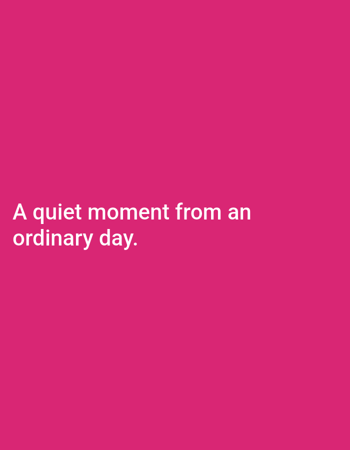 The image contains white text on a bright pink background. The text reads "A quiet moment from an ordinary day." There are no people, objects, or any discernable environmental features visible. The location of Sonobekel, Indonesia is not depicted or suggested in the image.