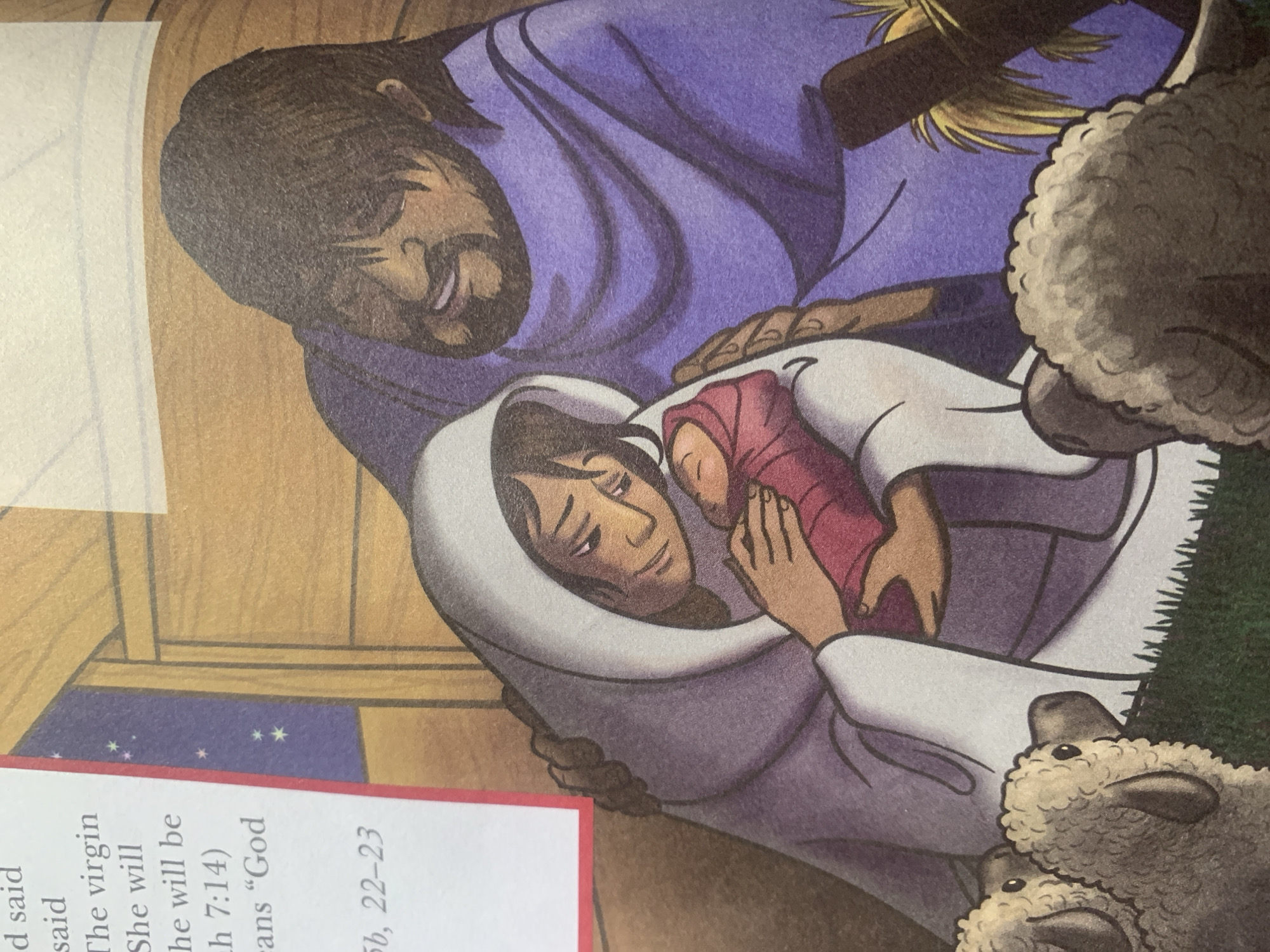 The image depicts a nativity scene rendered in a stylized, illustrative manner. In the foreground, three sheep are partially visible, facing left and right. Behind them, a woman, veiled in white, cradles a baby wrapped in a pink cloth. A man, wearing a purple robe and with dark hair and a beard, has his arm around the woman and leans over to look at the baby. The background suggests a stable with wooden walls and a starry, dark blue sky. A manger with straw is partially visible on the right. There is text on the left side of the image, partially obscured, containing what appears to be biblical verses. The image does not contain any information or visual cues related to the city of Jauro Yinu, Nigeria.