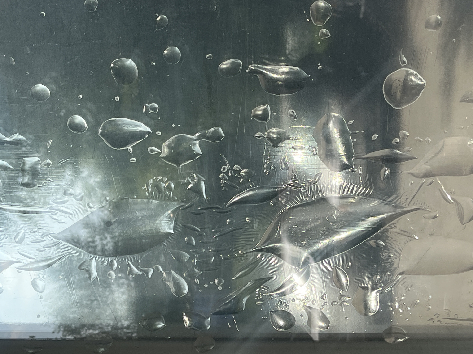 The image is a close-up, macro shot of water droplets on a window pane. The droplets vary in size and shape, some appearing spherical, while others are elongated or irregularly shaped, suggesting they are in the process of sliding or have adhered to a textured surface. The light source appears to be behind the window, causing the droplets to refract and reflect light, creating highlights and distortions of the outdoor scene beyond. The outdoor scene is blurred, but appears to be a natural environment with trees and greenery, possibly indicating a residential area or park. The window pane itself has some visible scratches and smudges, contributing to the overall texture and reflective quality of the image. The image is devoid of any human presence or activity. The context of Krasnoyarsk, Russia is not visually discernible from the image itself.