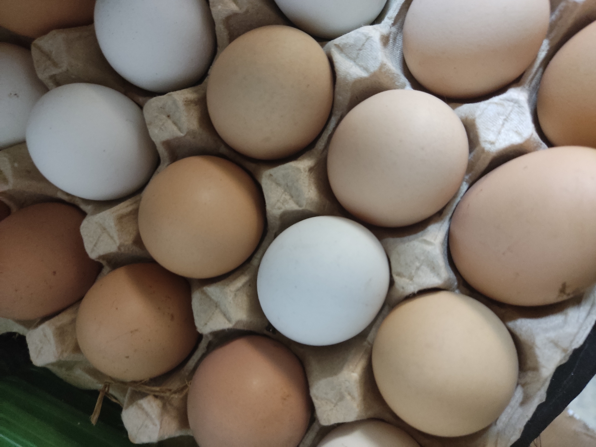 The image shows a close-up view of a carton of chicken eggs, with some of the eggs being light brown and others white. The carton is made of molded pulp. The eggs are arranged in a grid pattern, with some empty spaces. There is a blurry green object in the upper left corner, possibly a vegetable. The image is taken from a top-down perspective. There is no indication of Klintsy, Russia, or any specific city.