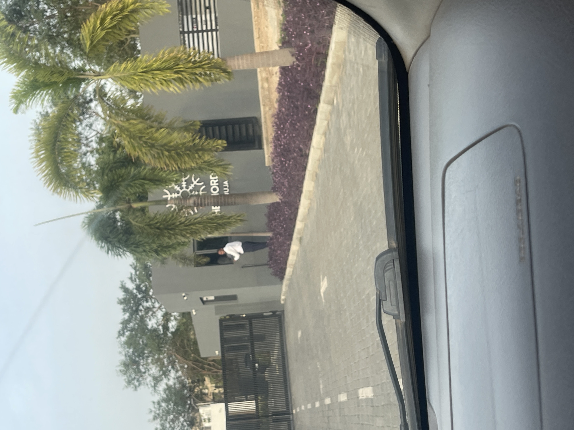 The image, taken from inside a vehicle, shows a view of The Nordic Villa in Abuja, Nigeria. Outside the vehicle's window are palm trees, a gray modern building with a sign, dark purple flowering plants, a gated entrance, and a paved driveway. A man wearing a white shirt is visible in the building's window.
