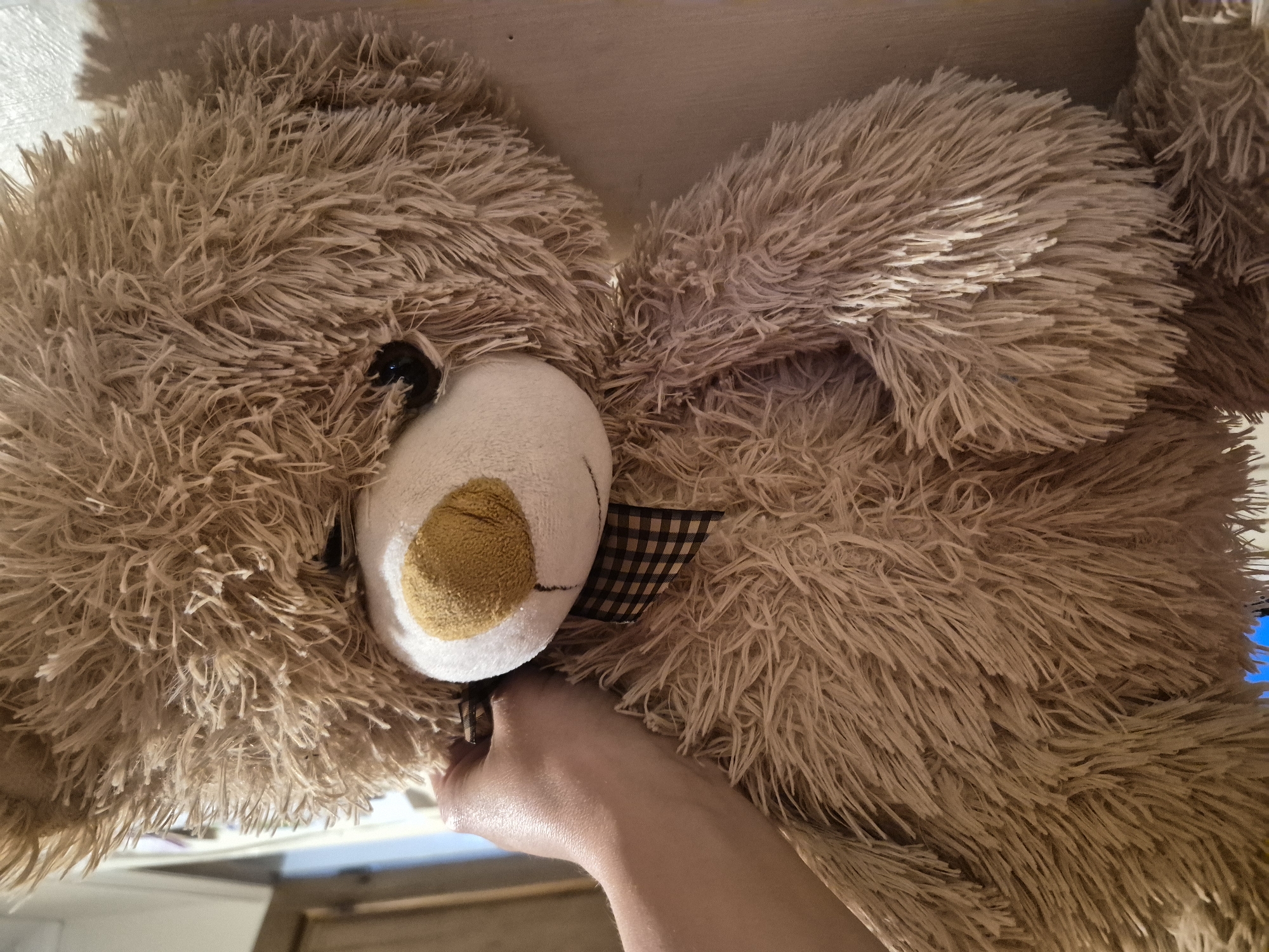 A close-up, vertical, medium shot captures a large, fluffy, light brown teddy bear. The bear's face is partially obscured by its own fur. A portion of a pale, human hand is visible on the left side of the frame, gently holding the bear's neck, near its patterned ribbon. The background consists of a plain, light-colored wall and a blurred doorway. The scene appears to be indoors. The location is not specified in Sandwell, United Kingdom.
