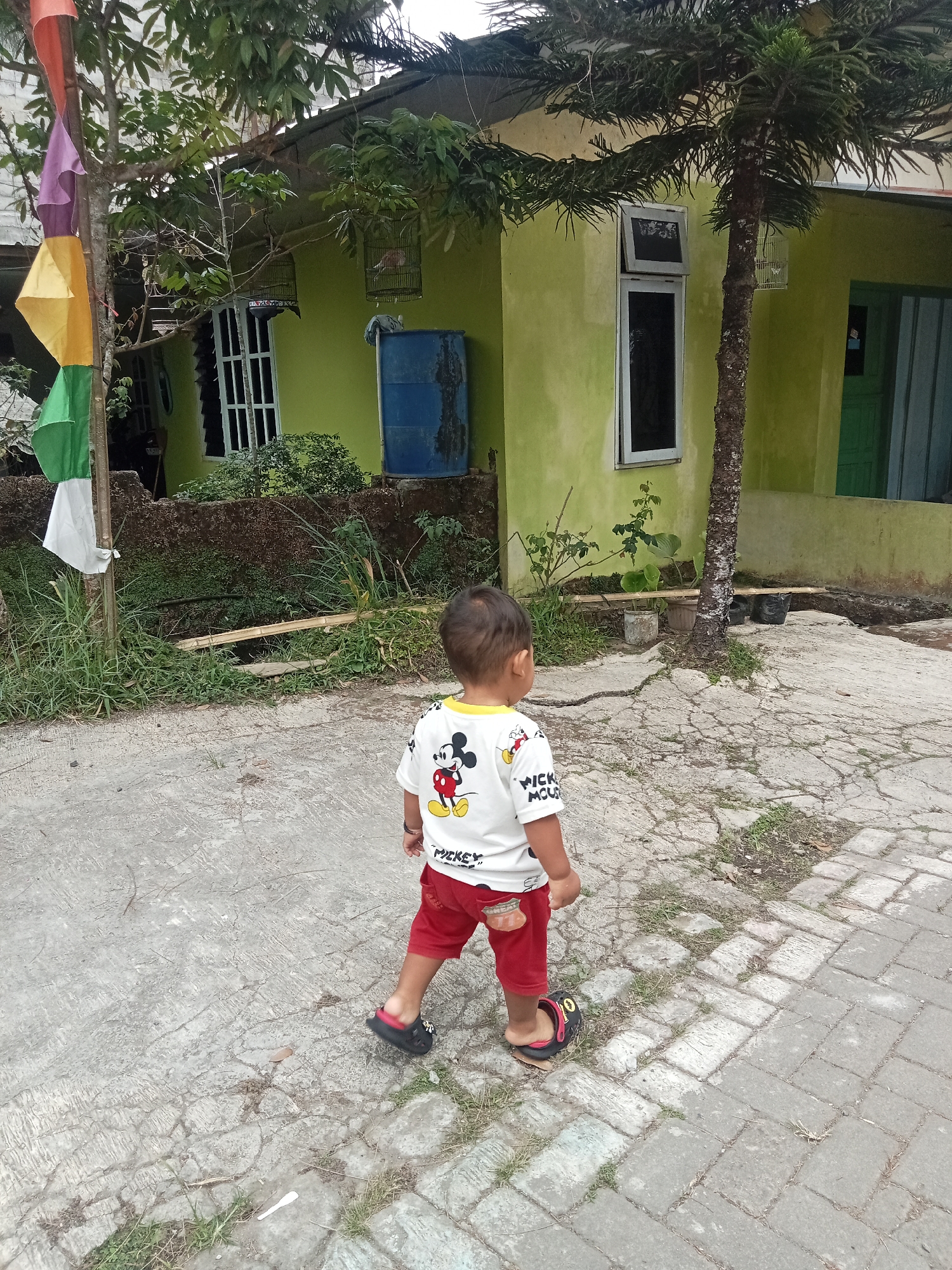 A young child, viewed from behind, walks on a cracked concrete path in front of a lime green house in Pancurwening, Indonesia. The child wears a white t-shirt with a Mickey Mouse graphic and red shorts. Black sandals with red accents are on their feet. To the left of the house are colorful flags on a pole, a birdcage with a bird, and a blue barrel. A tall, thin tree stands to the right of the house. The environment appears to be residential, with overgrown vegetation and other structures visible in the background.