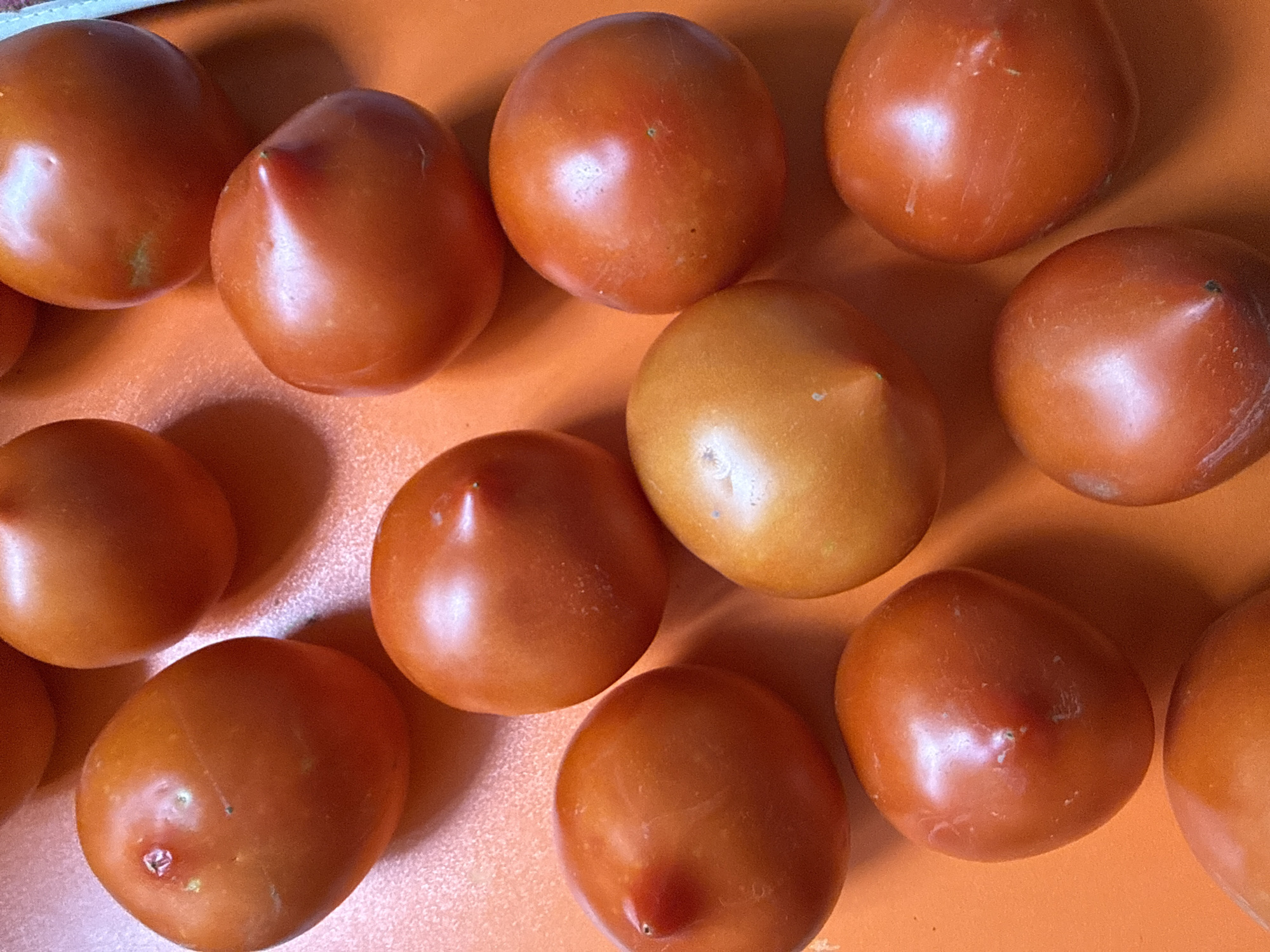 A top-down, close-up shot displays a collection of ripe, red, Roma tomatoes arranged on an orange surface. The tomatoes are rounded with slightly elongated shapes, some featuring prominent points at their tips. They are clustered together, with varying degrees of light reflection indicating their smooth, glossy skins. The orange surface appears to be a flat, textured material, possibly a cutting board or countertop. The lighting creates soft shadows around the tomatoes, emphasizing their three-dimensional form. There are no people or identifiable landmarks visible in the image.