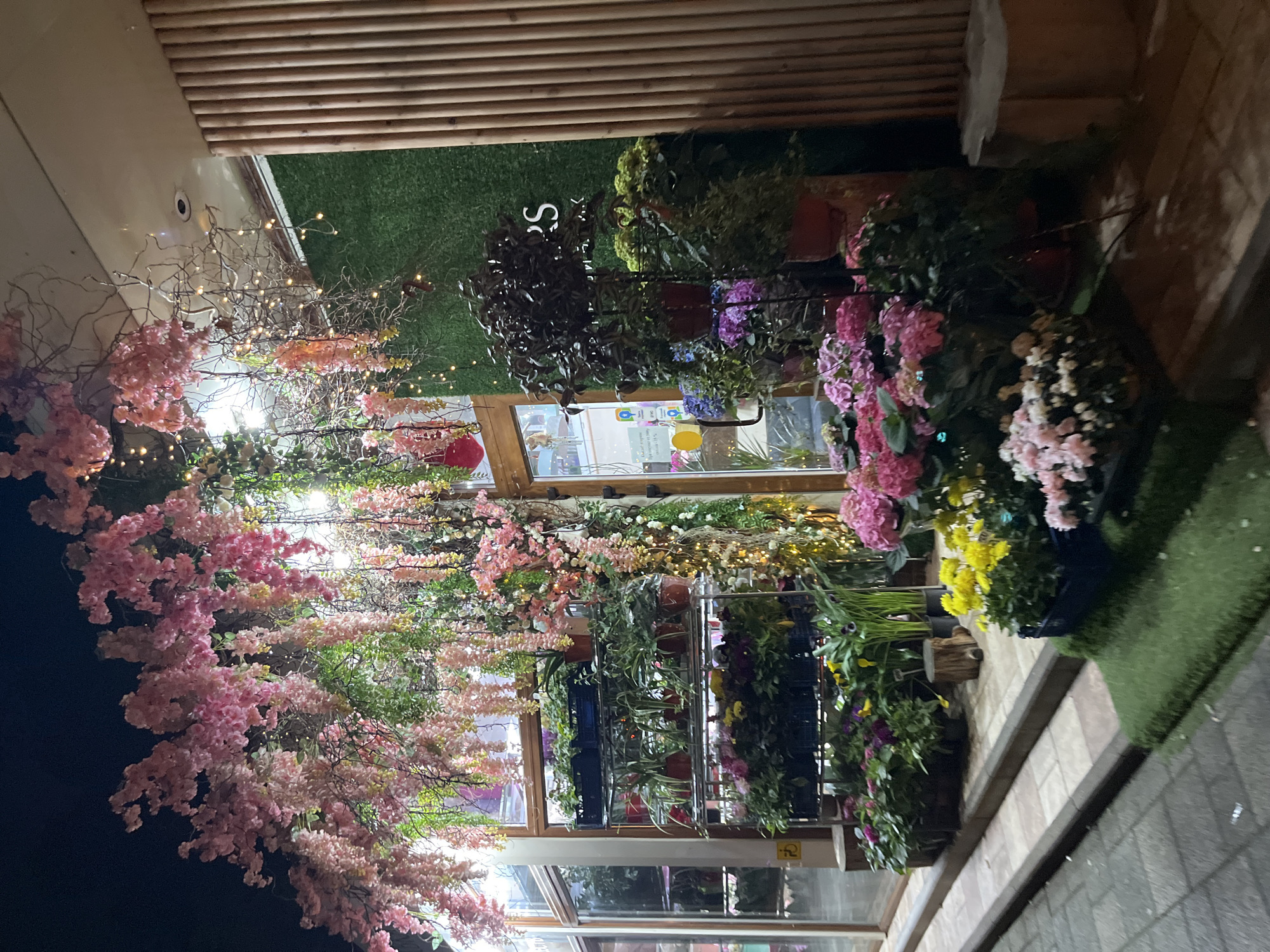 This is a nighttime, eye-level, full exterior shot of a flower shop in Sochi, Russia. The shop's facade is adorned with abundant floral decorations, featuring cascading pink wisteria-like flowers and delicate string lights that create a whimsical ambiance. The entrance is a wooden door with glass panels, reflecting the interior's greenery. To the right of the entrance is a wall covered with artificial green grass, and next to that are vertical wooden slats.
Inside the shop, visible through the glass, are multiple shelves filled with potted plants and flowers of various colors, including pink, yellow, and purple. In front of the shop, arranged on the pavement and a small raised platform covered in artificial grass, are more displays of colorful flowers, primarily hydrangeas and chrysanthemums. A low concrete curb separates the sidewalk from the shop's entrance area. The overall scene suggests a vibrant and inviting flower shop, decorated extensively for nighttime viewing. There are no people visible in the image.