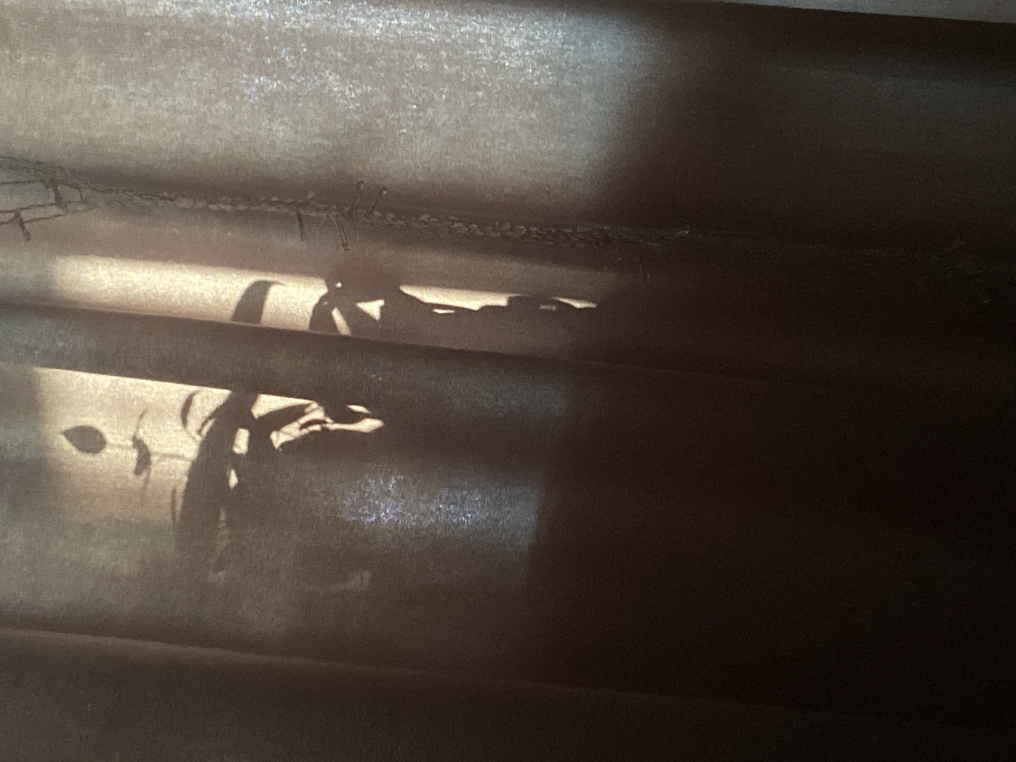 The image shows a close-up of window blinds with the shadow of a plant cast on them. The blinds are horizontal, and there are at least three visible slats. The light filtering through creates a pattern of light and dark areas. There's also a string of lights on the top of the blinds. It's difficult to ascertain the location in Chaikovsky, Russia without additional information.